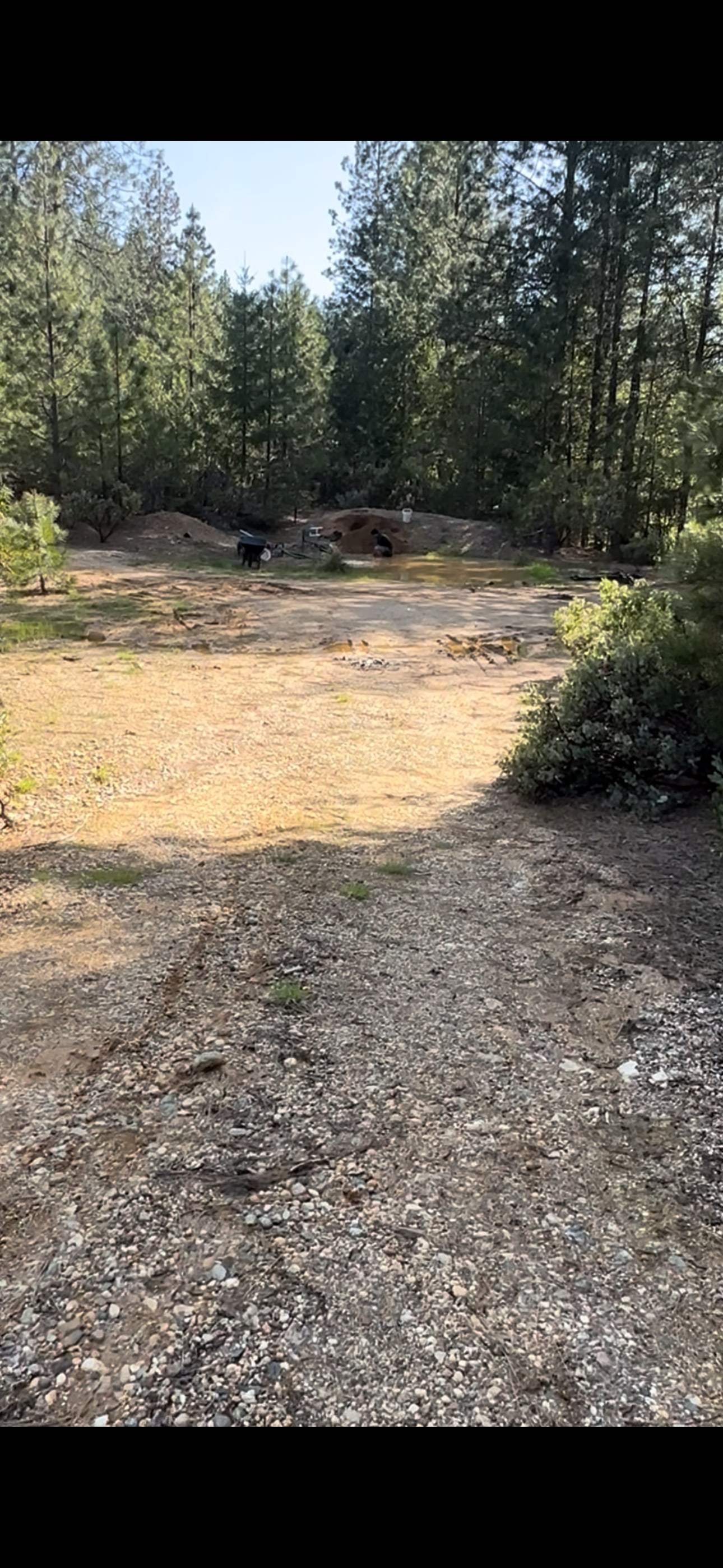 Gold Country Camping