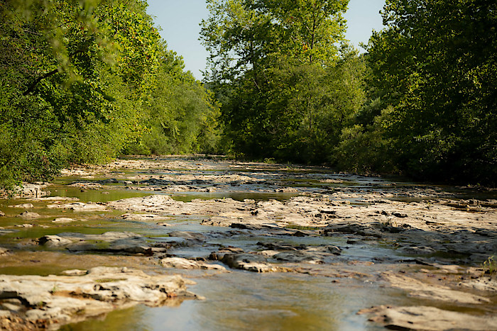 Big Creek RV Park/ Arcadia Meadow Campground LLC