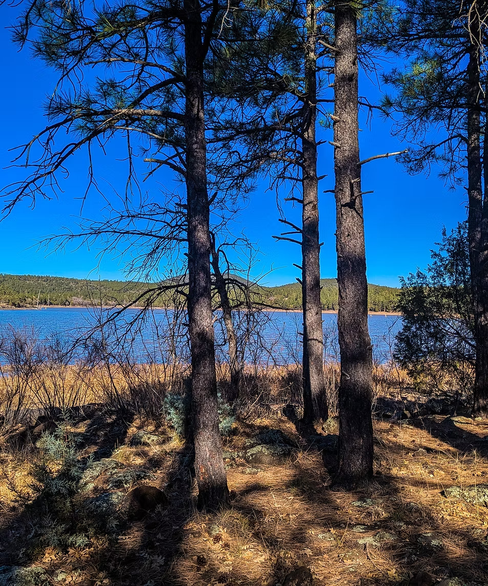 Porter Creek RV Park