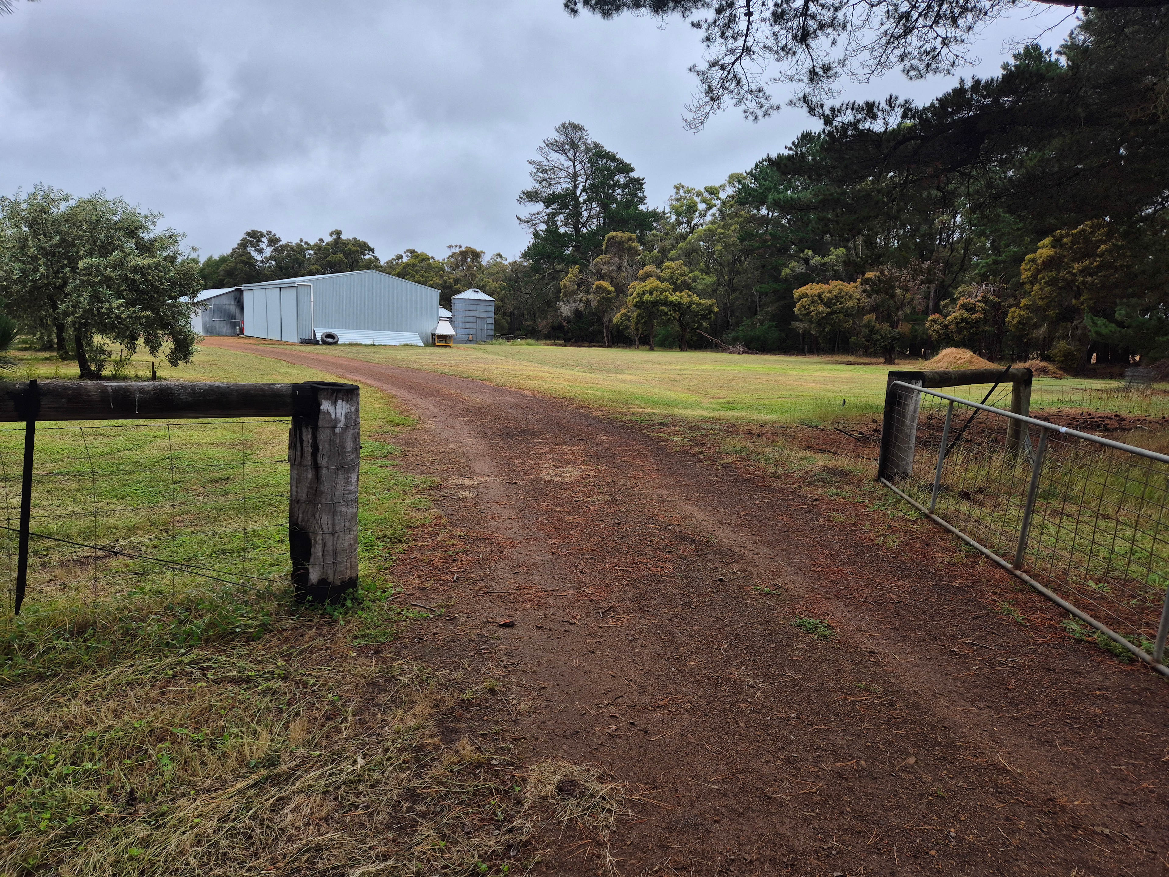 Springwood Olive Farm