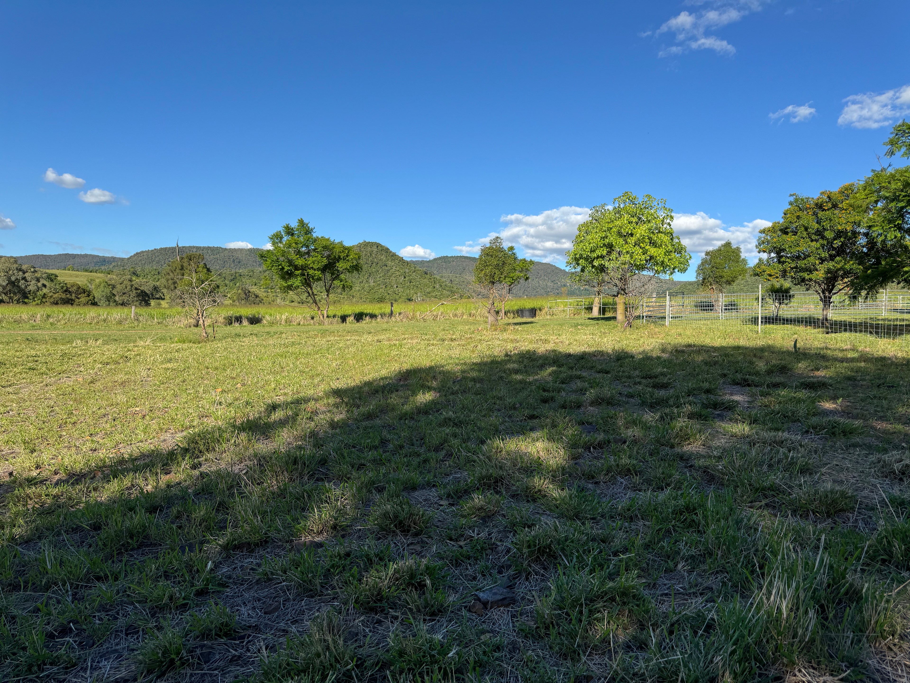 Sunnyvale Farm is a working cattle farm.  The sites are not all level and there may be some small stones and grass tussocks. We aim to have plenty of room for our guests to enjoy their time with us. We have farm animals which do, on occasion, make noise. We are unable to silence them but will do our best to limit their access to the camping area.
We are just starting our hosting journey and will continually improve our amenities and sites with time. We welcome feedback on ways to make guests experience better.