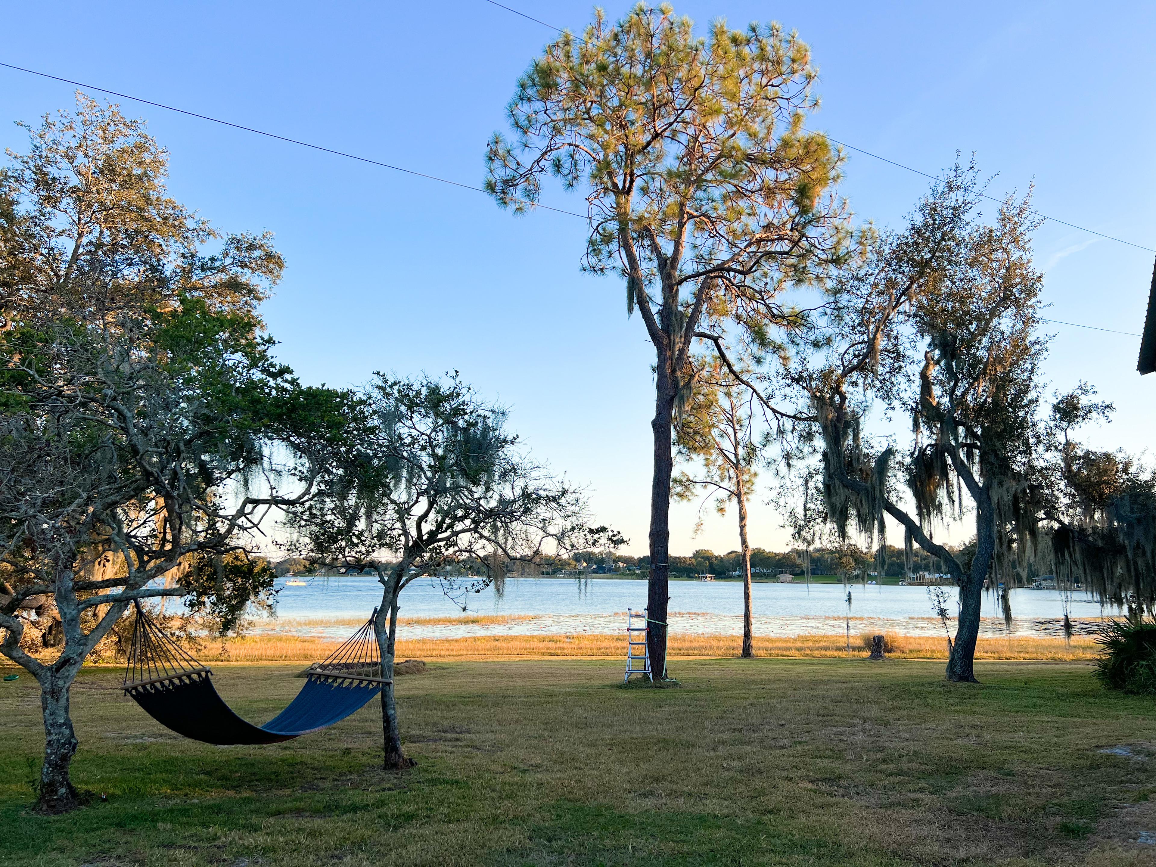 Wildlings Farm + Folk