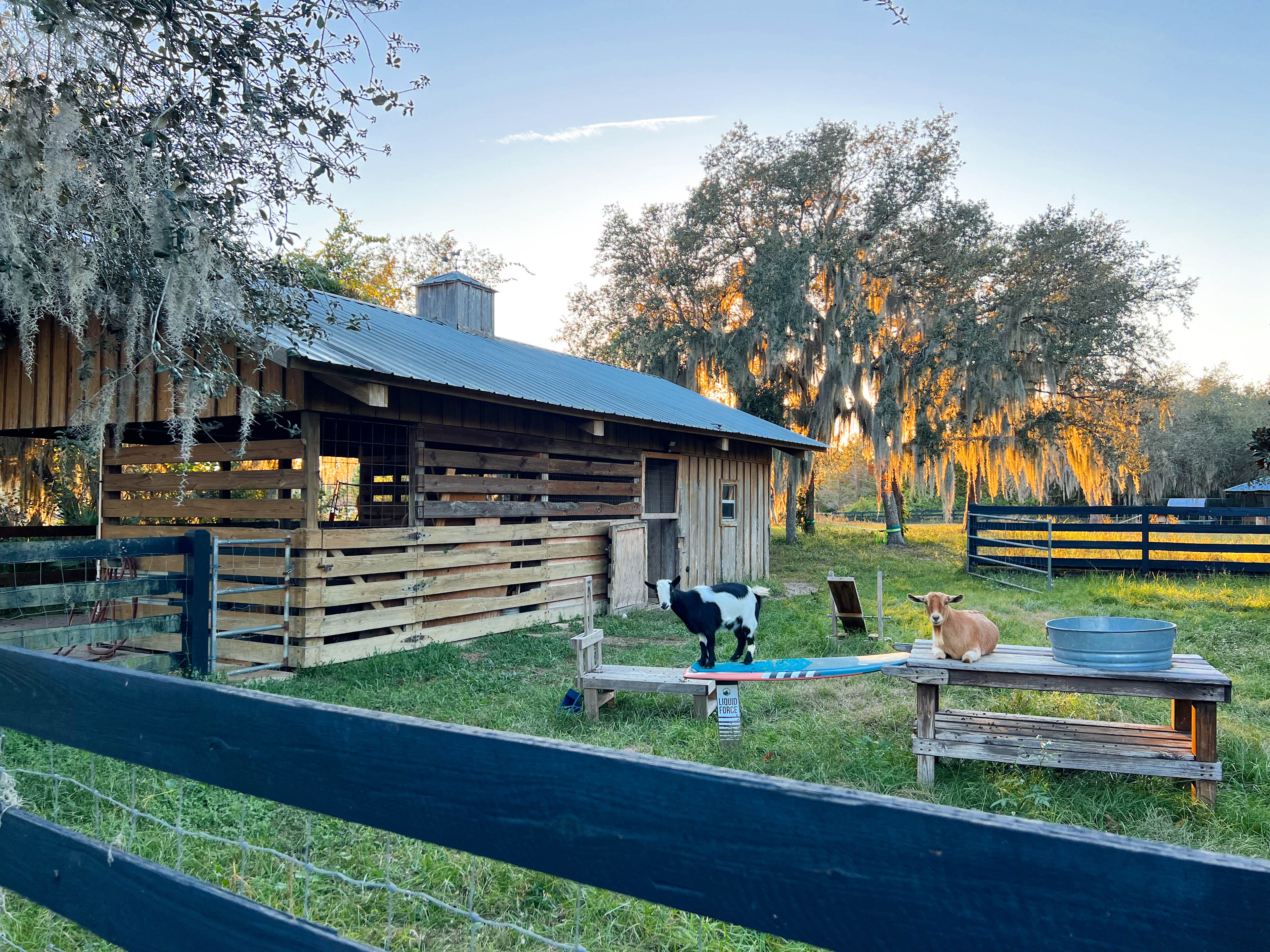 Wildlings Farm + Folk