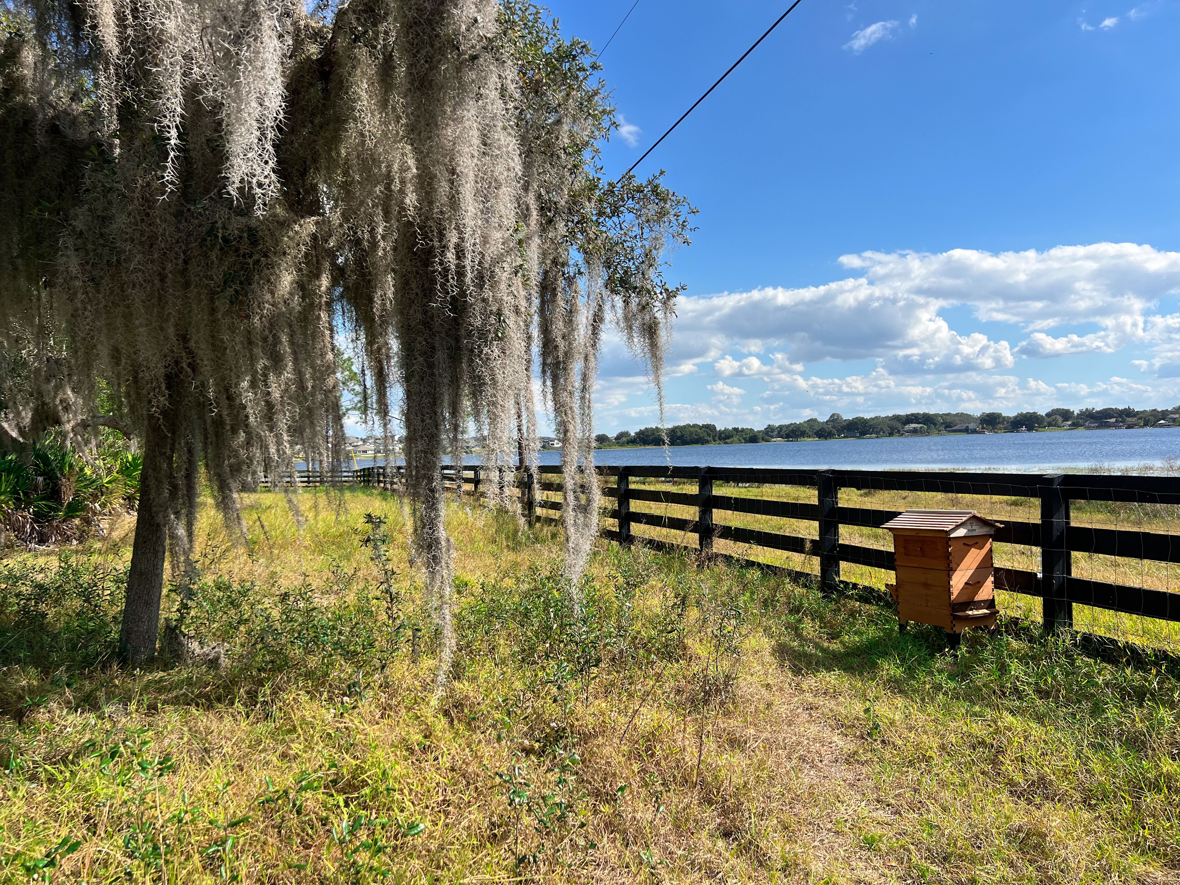 Wildlings Farm + Folk