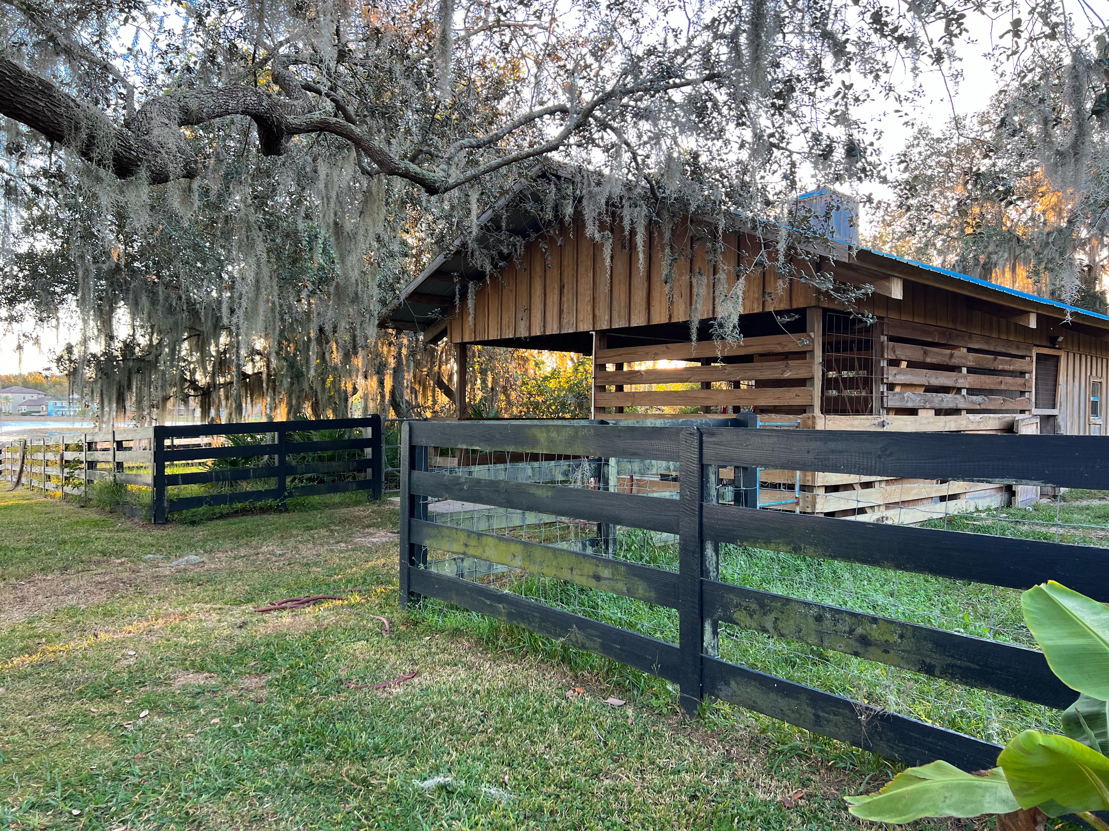 Wildlings Farm + Folk