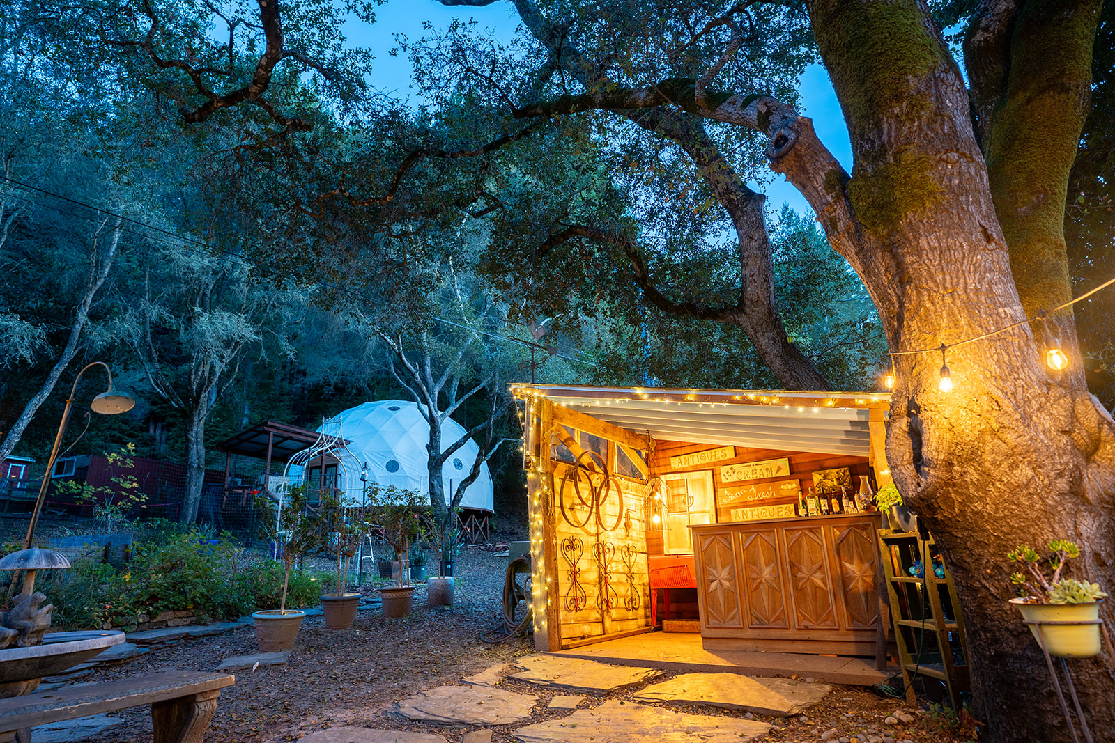 The Campground at Chez Serendip