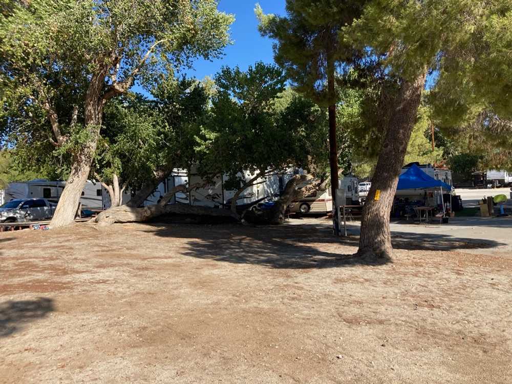 Action Camp LA RV Resort