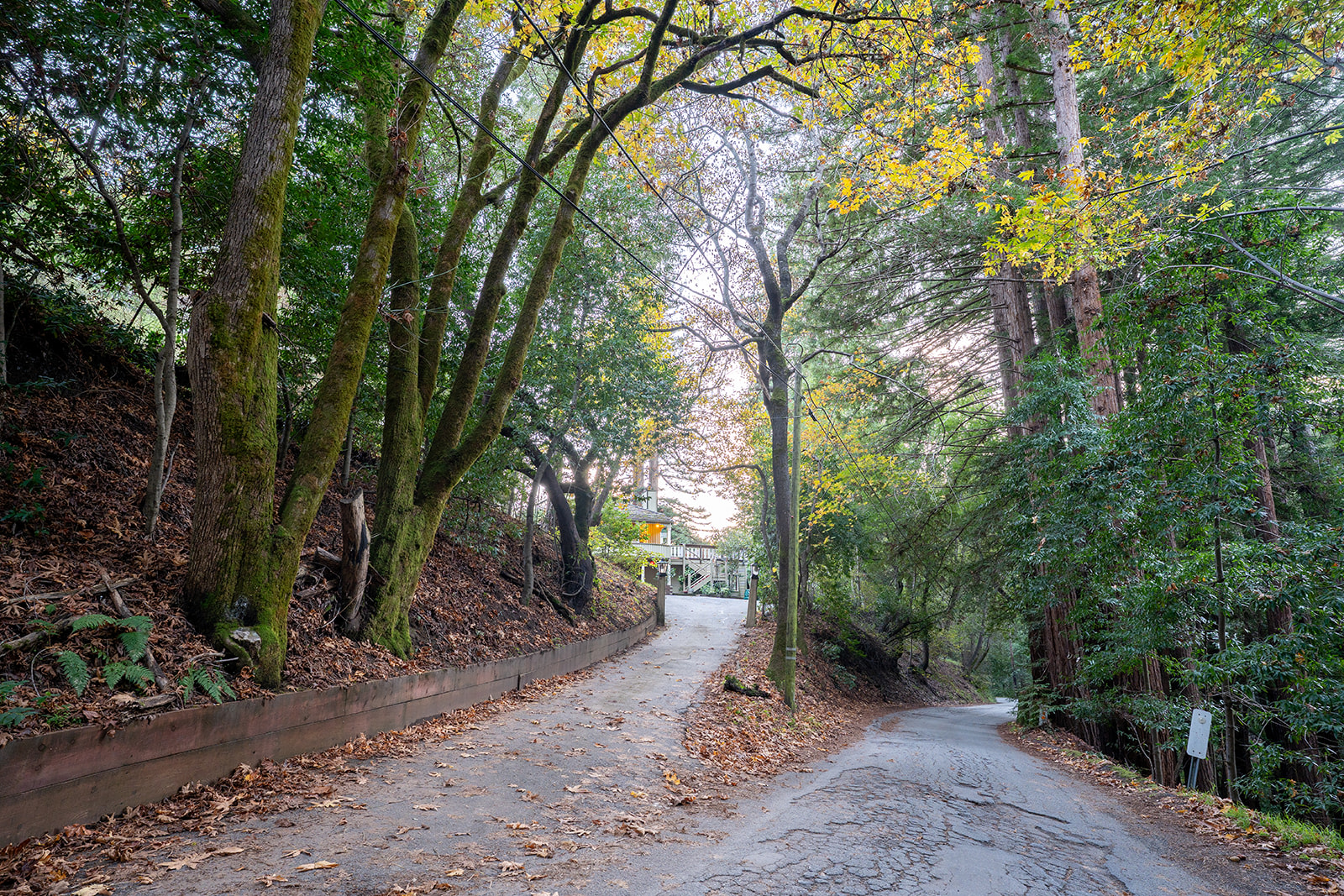 The Campground at Chez Serendip
