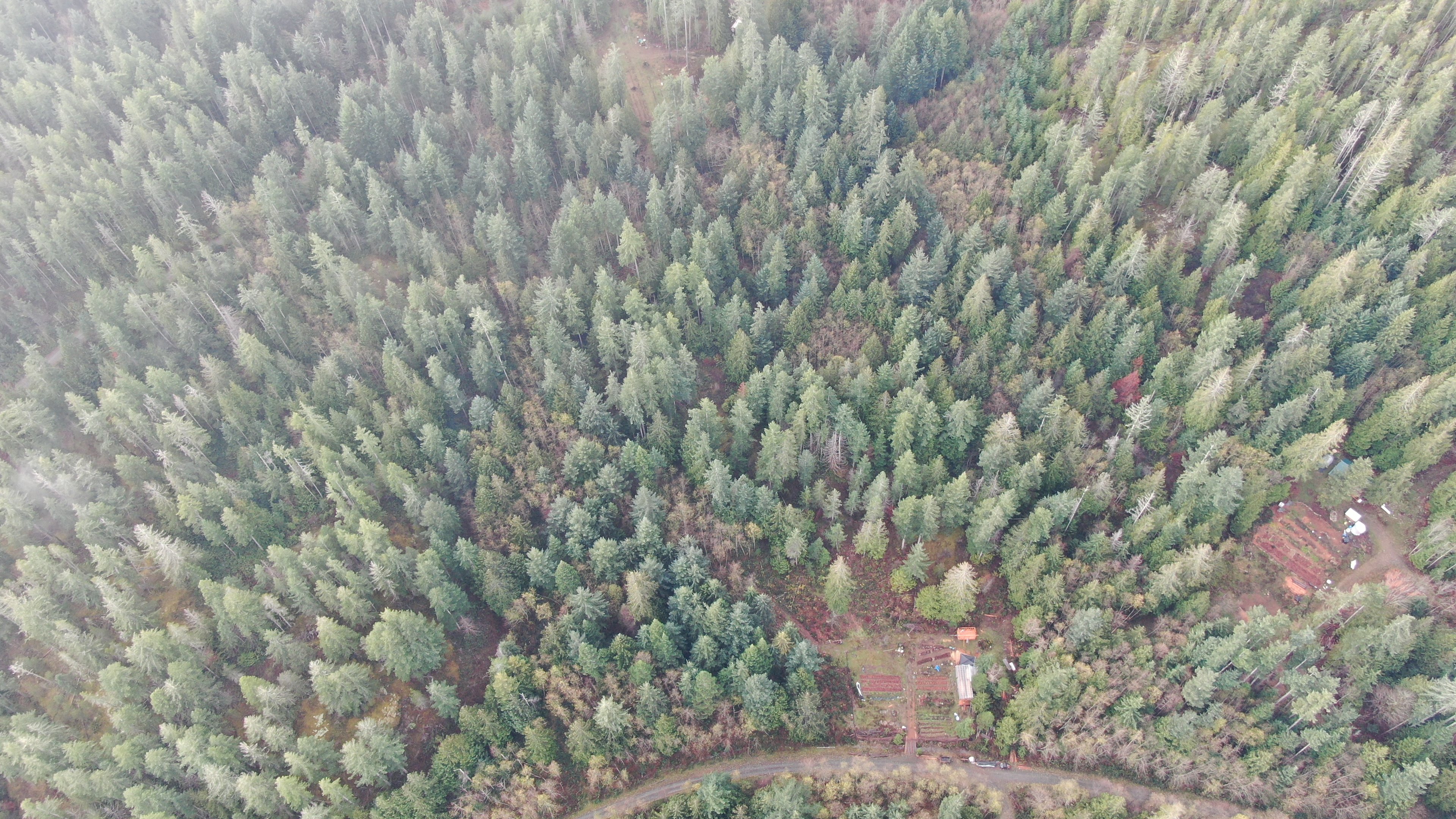 Read Island Cozy Off Grid Retreats