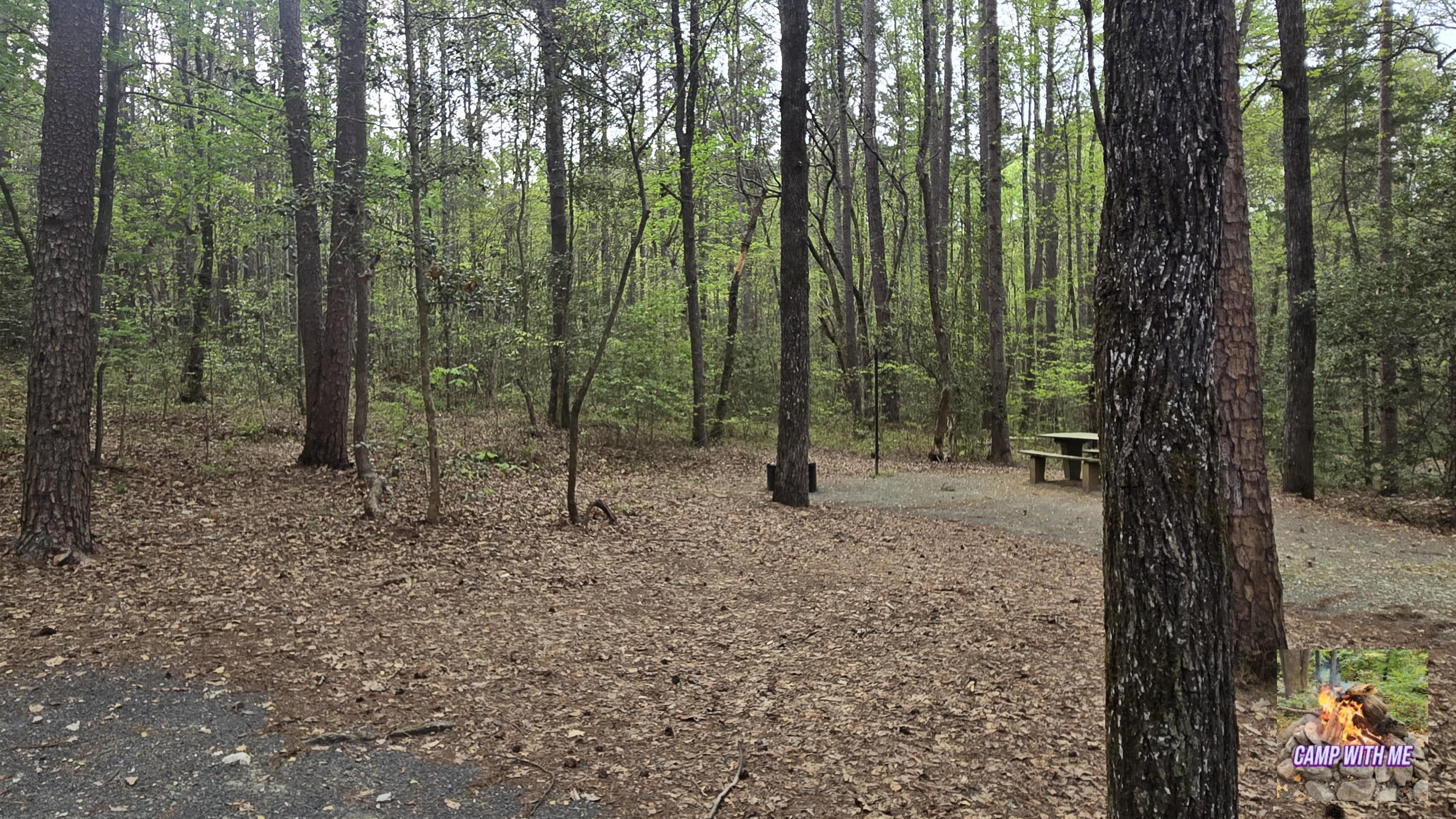 West Morris Mtn. Campground