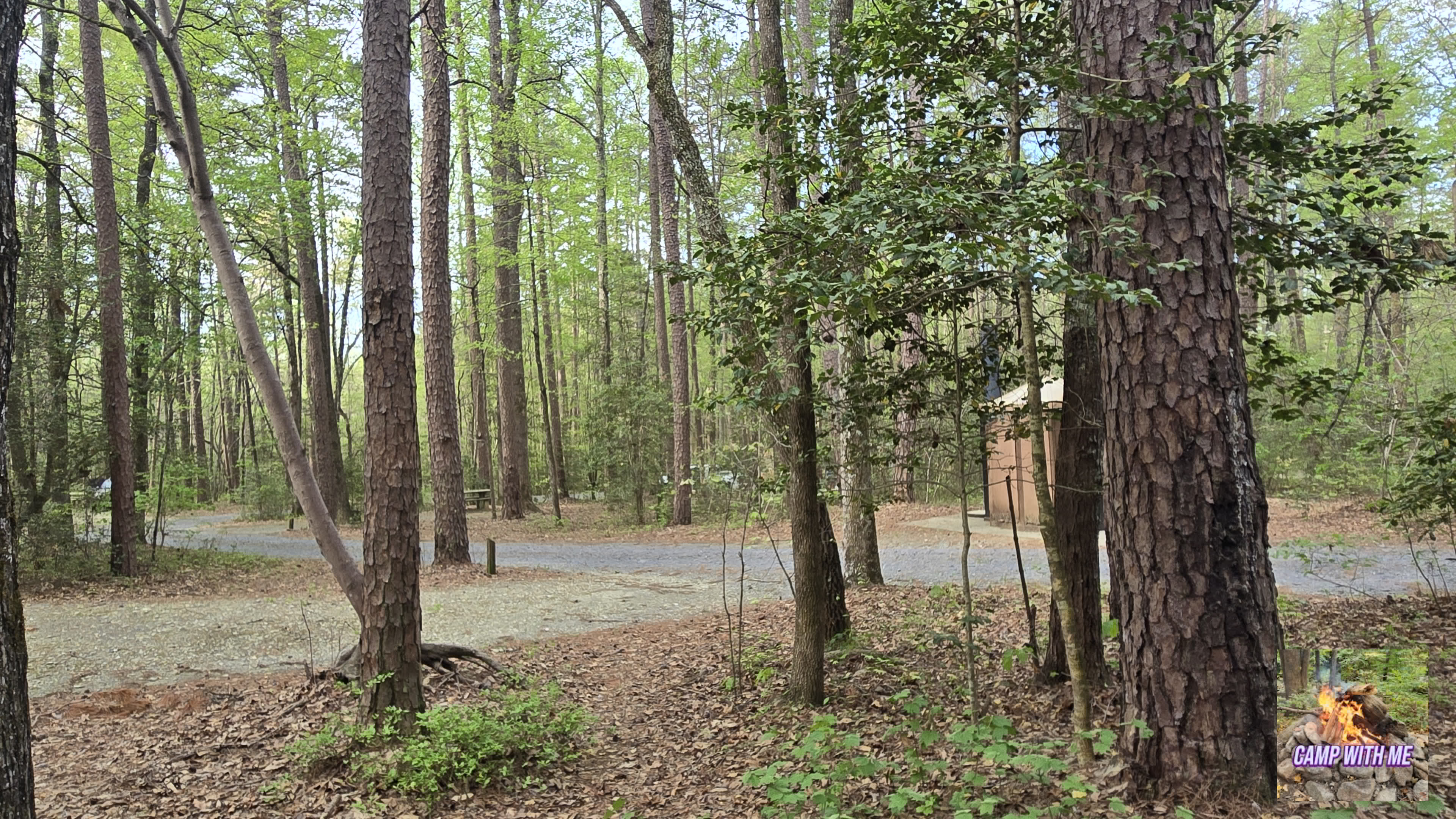 Uwharrie National Forest