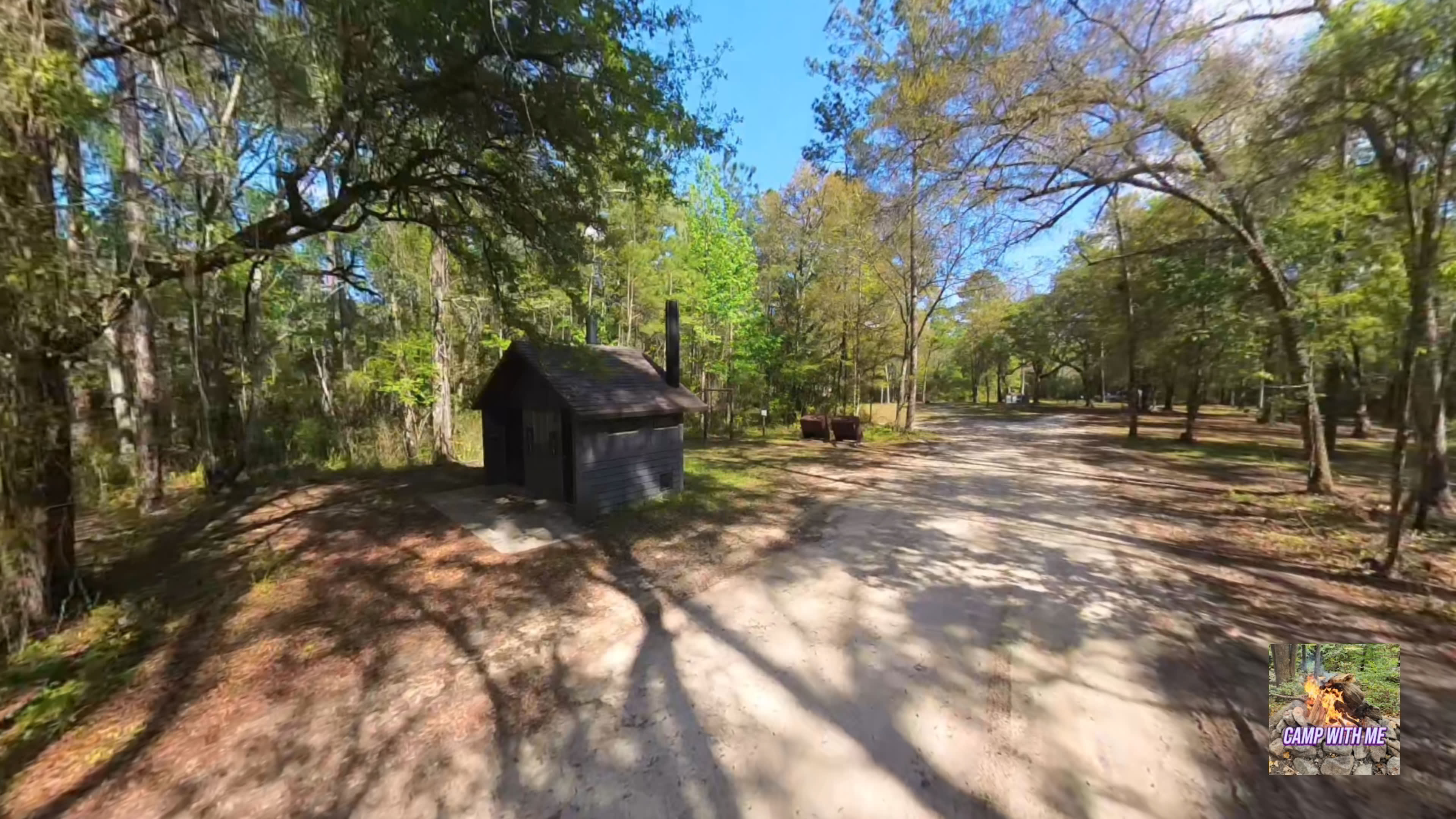 Apalachicola National Forest