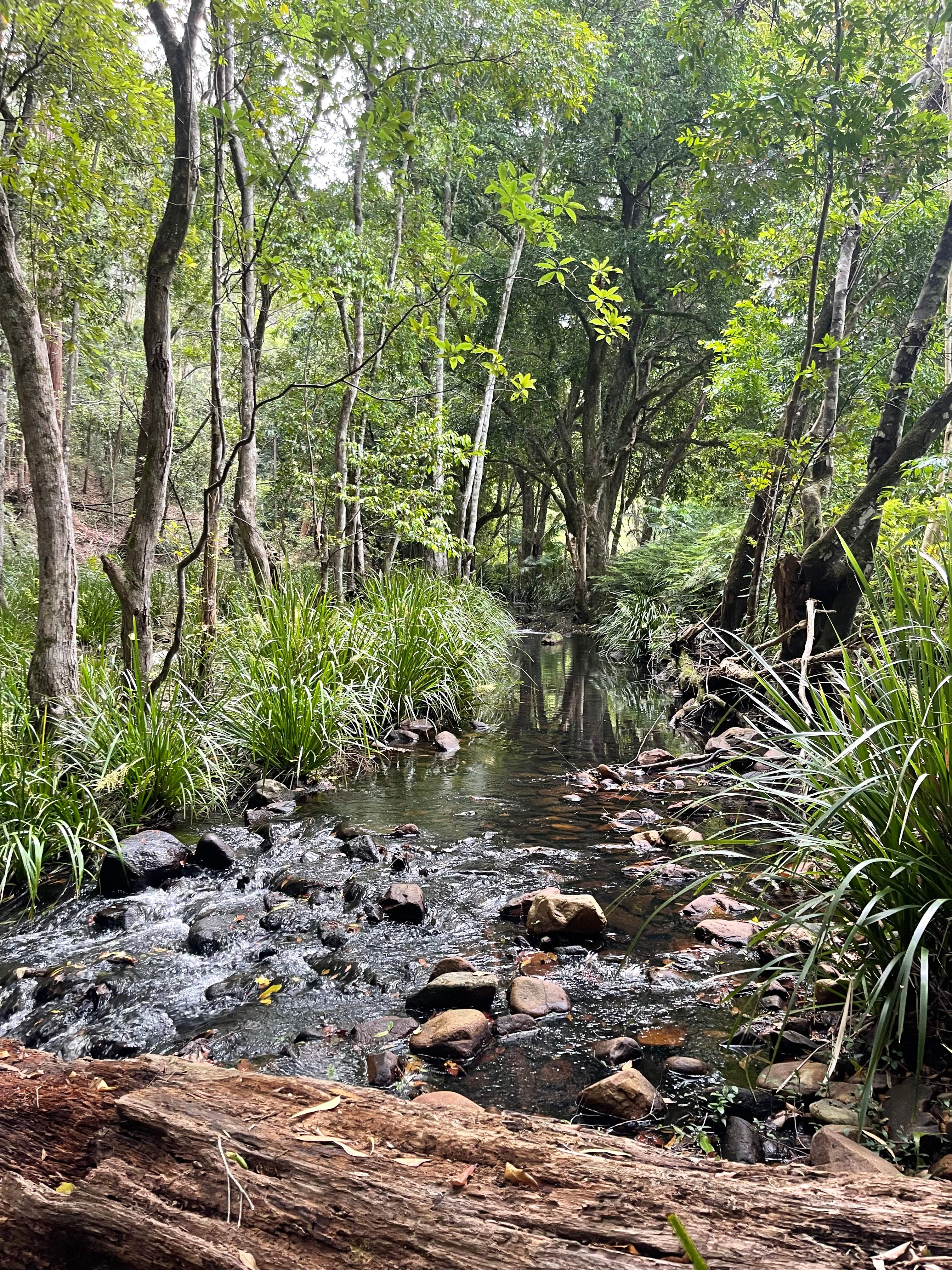 Falls Forest Retreat