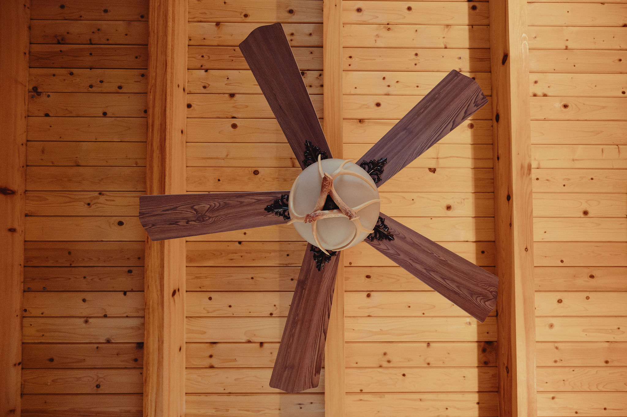 Pine Creek Cabins & Camping Resort