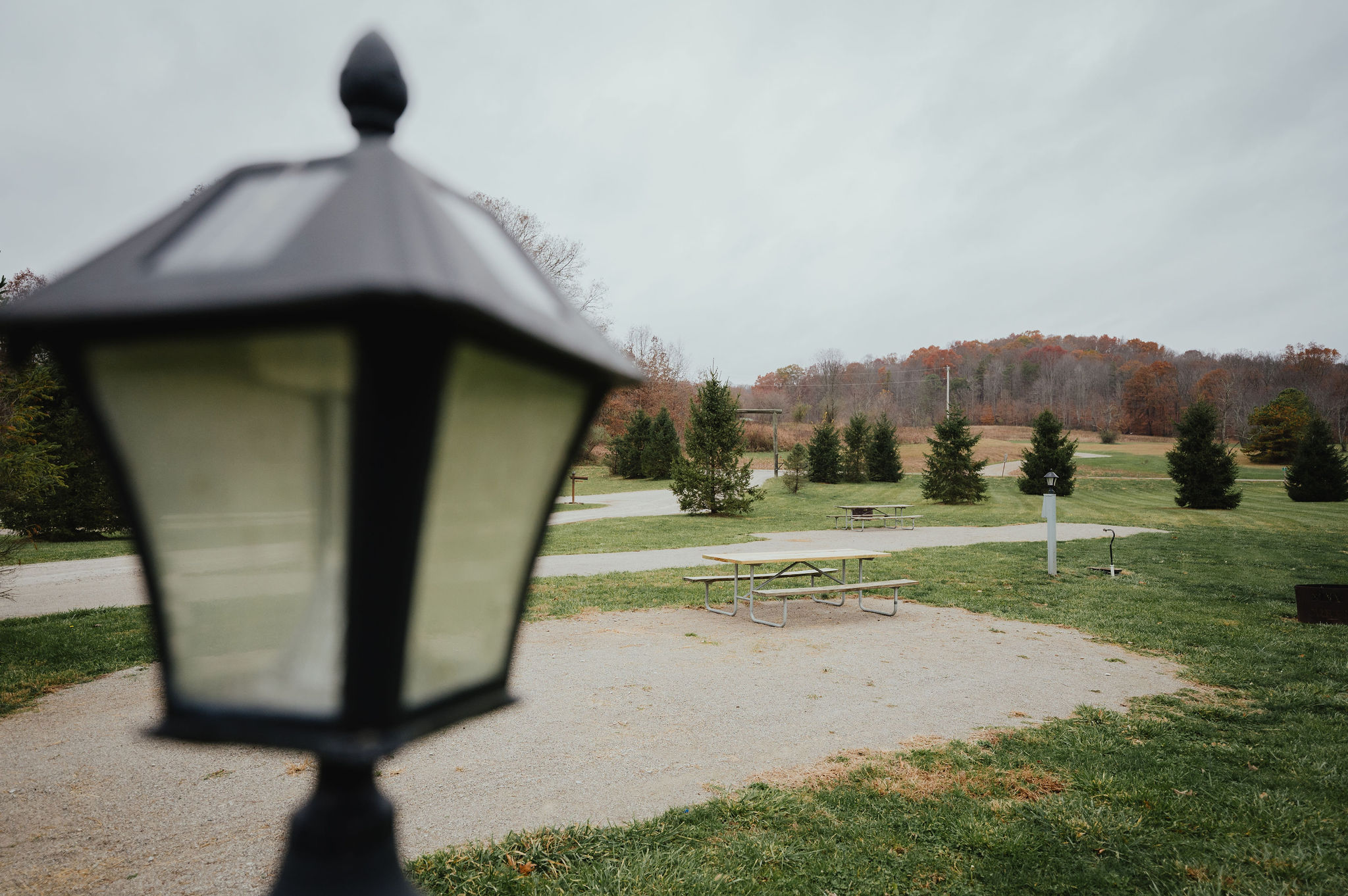 Pine Creek Cabins & Camping Resort