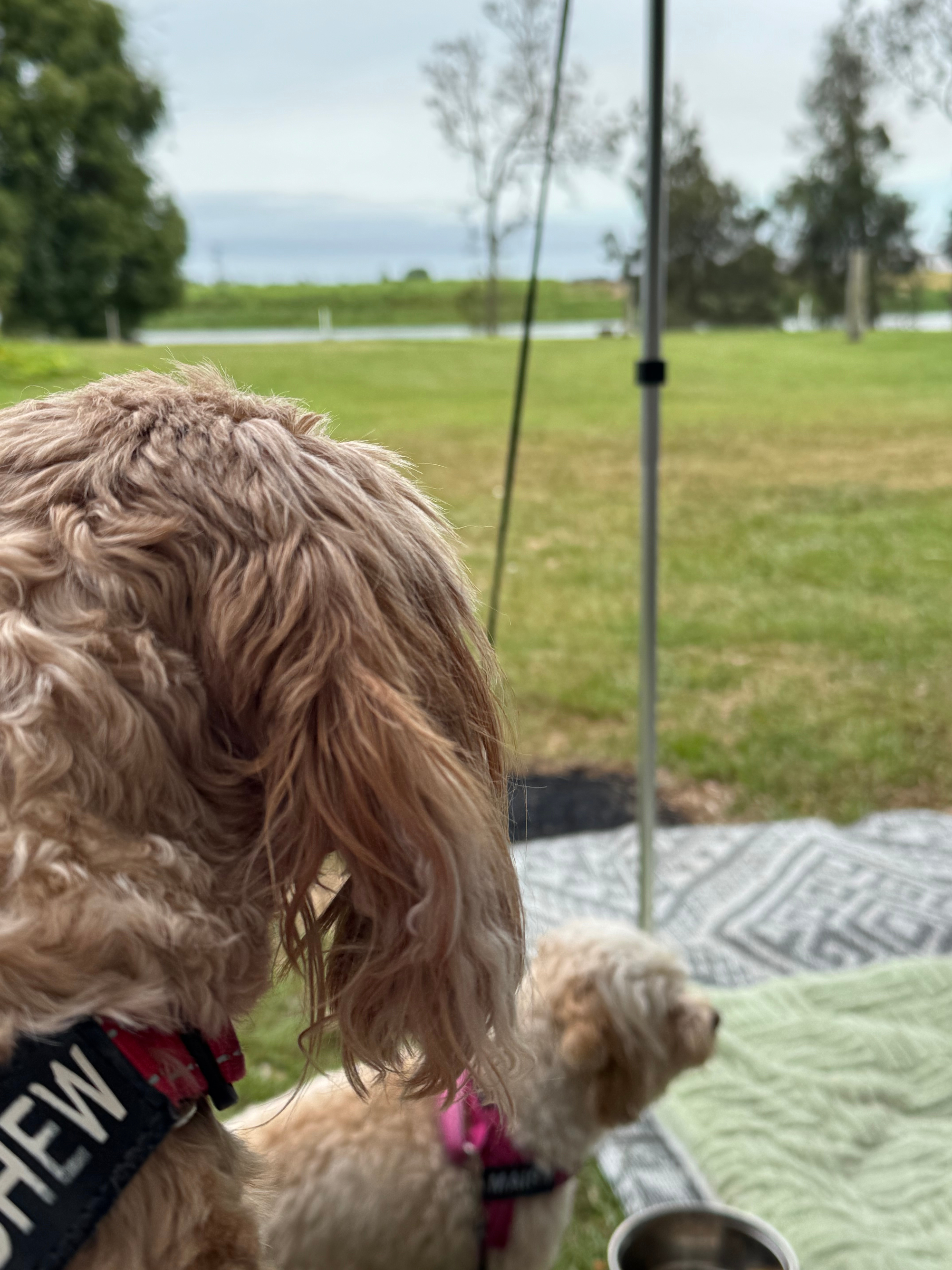 River terrace camping Cowper 2460