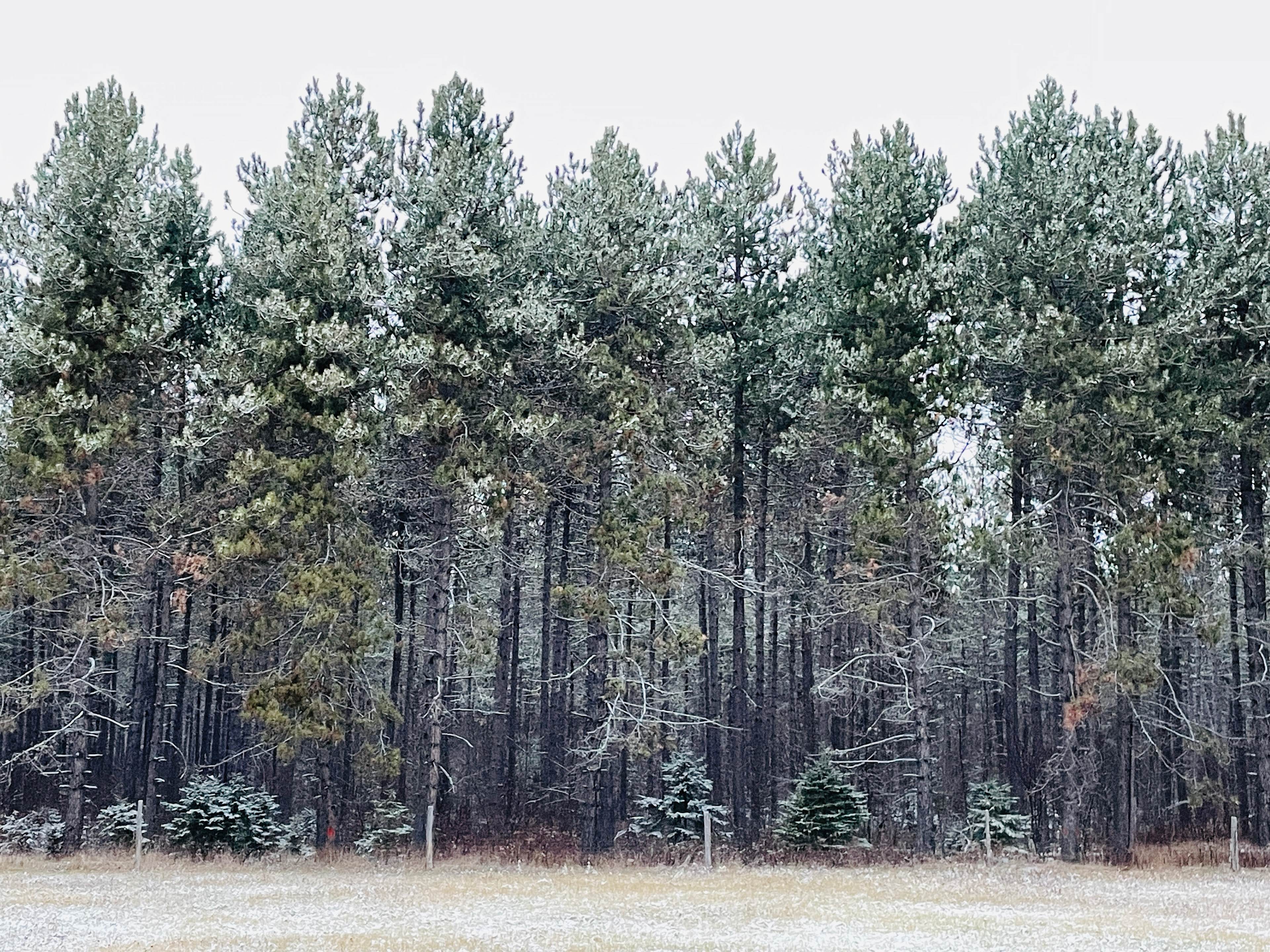 The Maine Roadhouse Hostel & Lodge