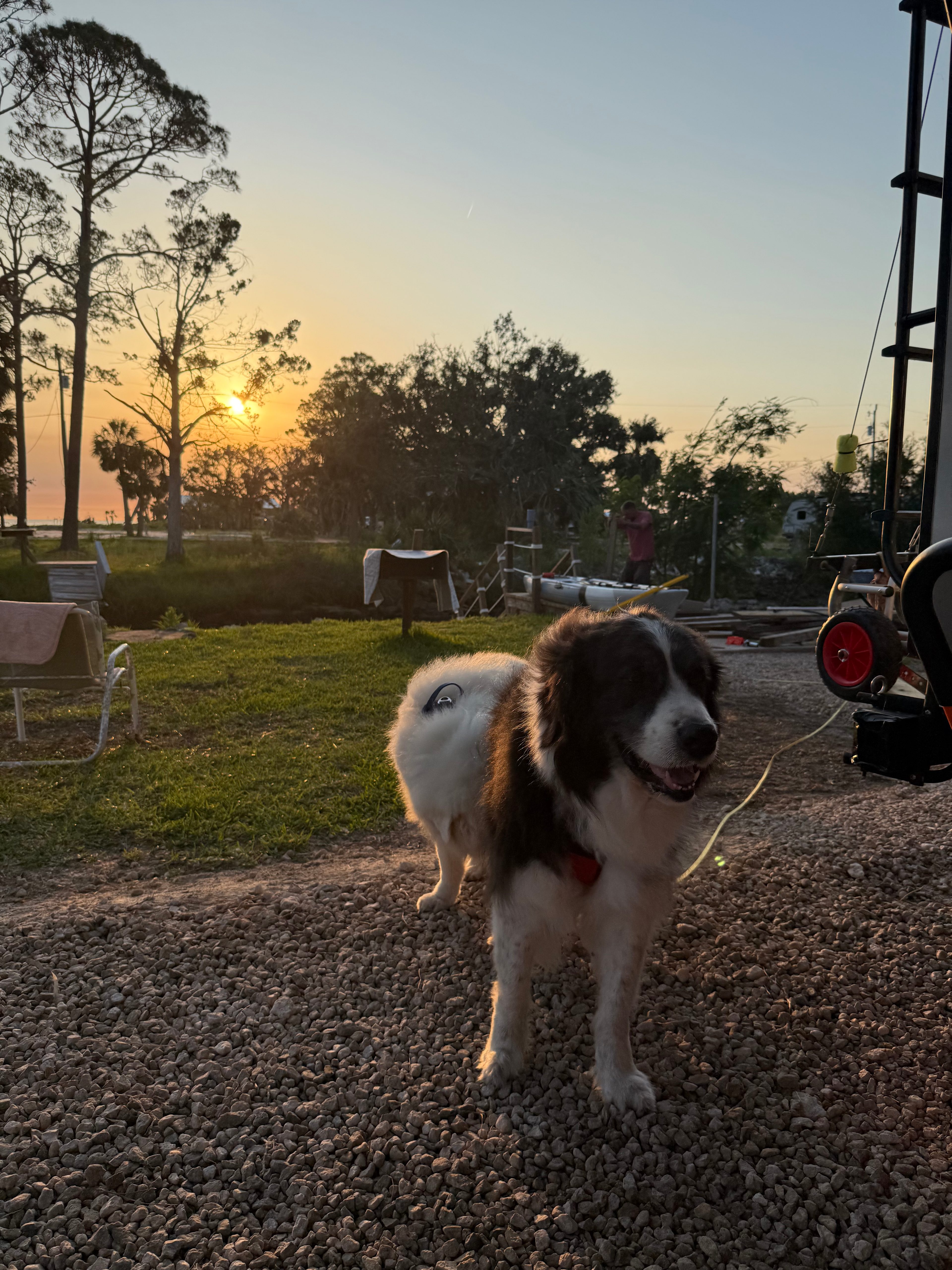 Sunset, Shade & Saltwater: FL Gulf