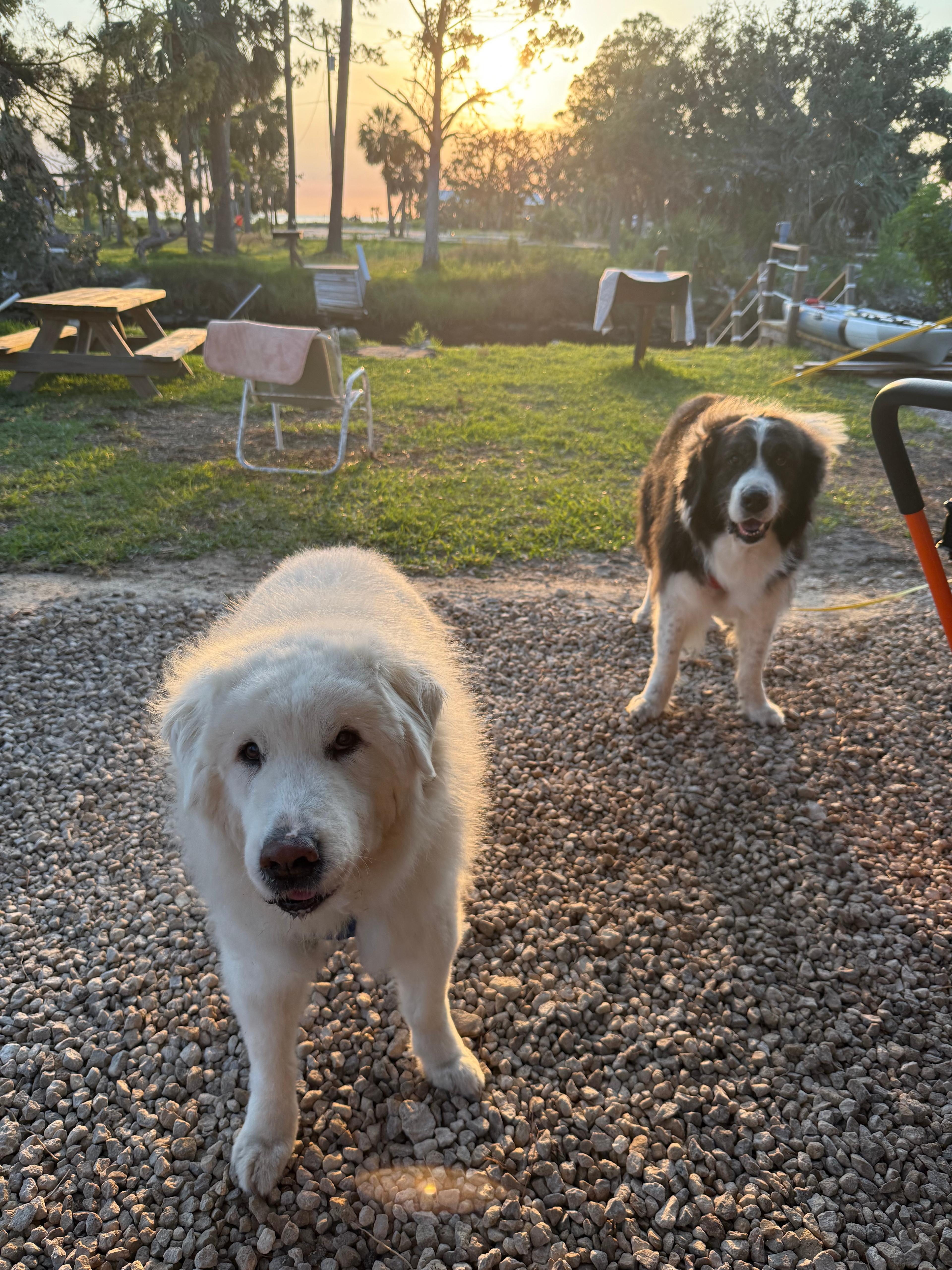 Sunset, Shade & Saltwater: FL Gulf