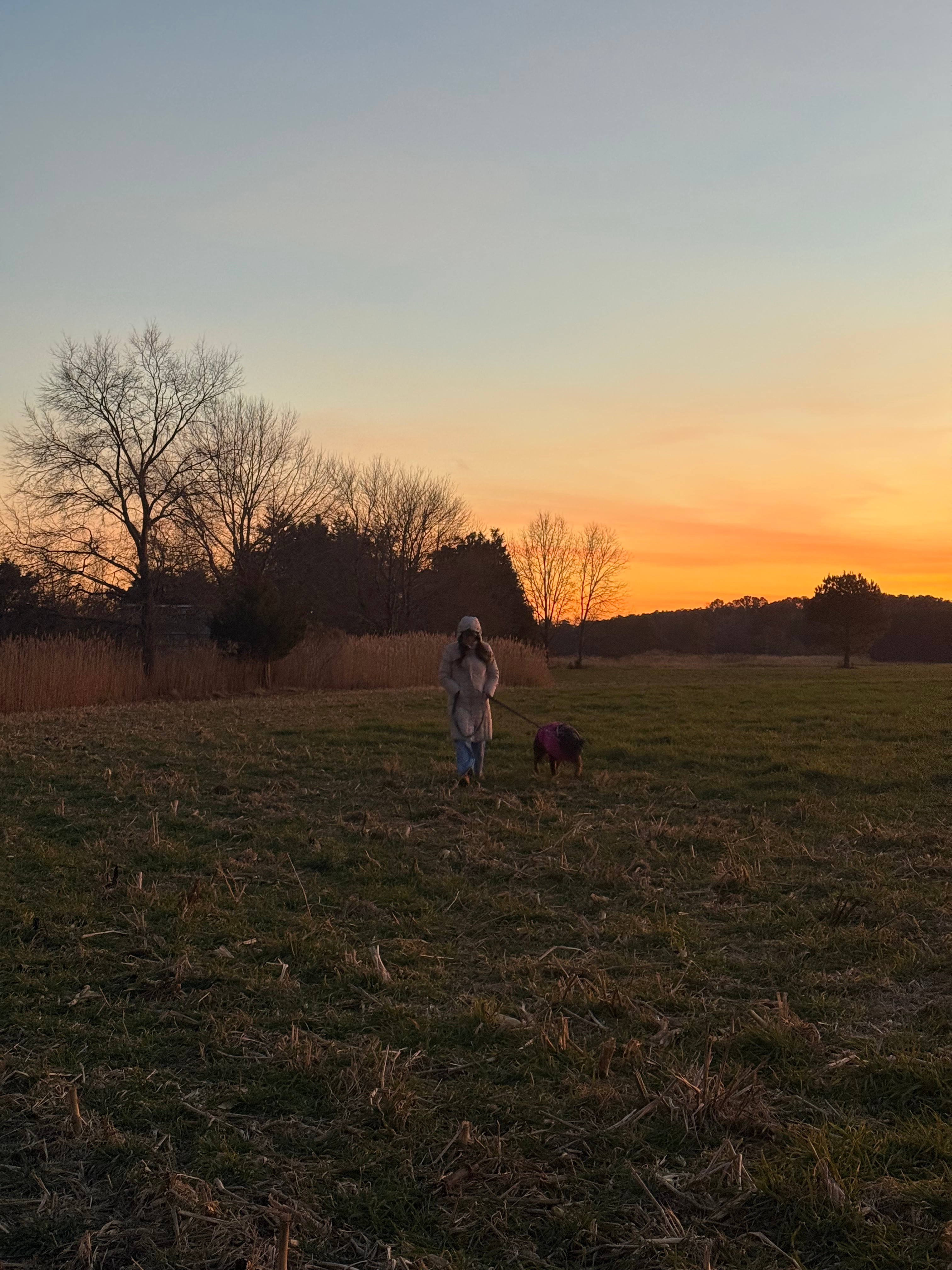 Rustic Zen Campsite W/ Fishing