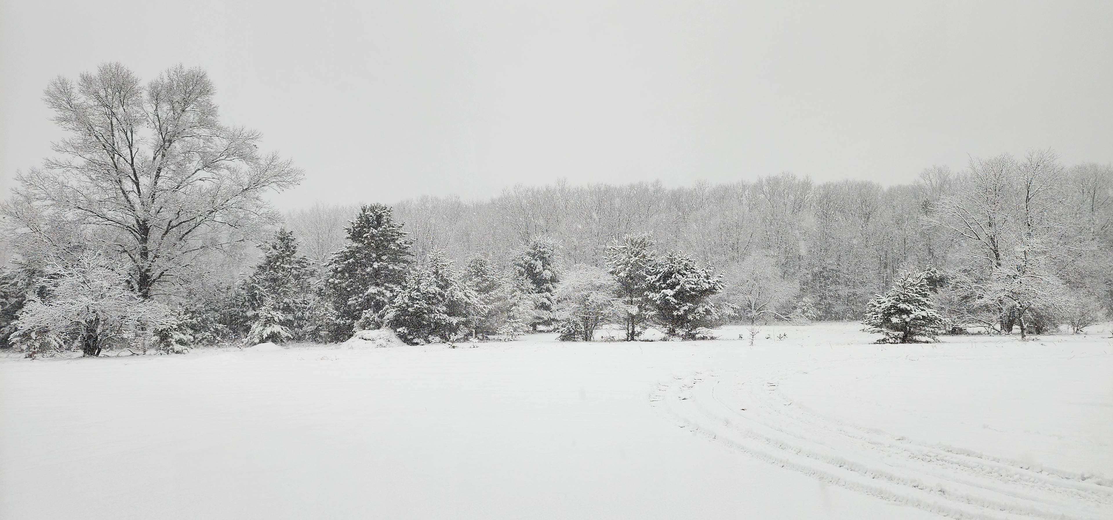 The Landing of Wellston