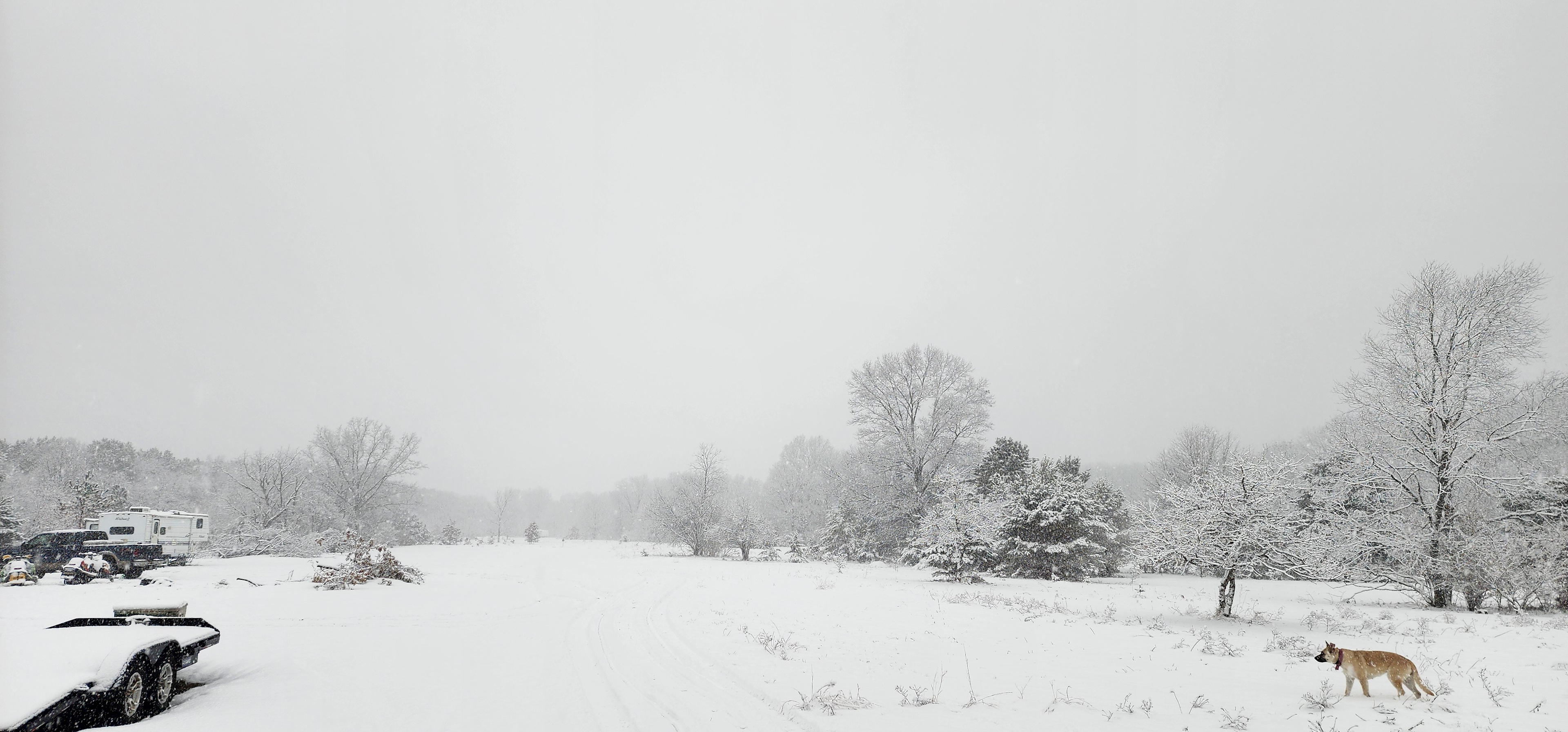The Landing of Wellston