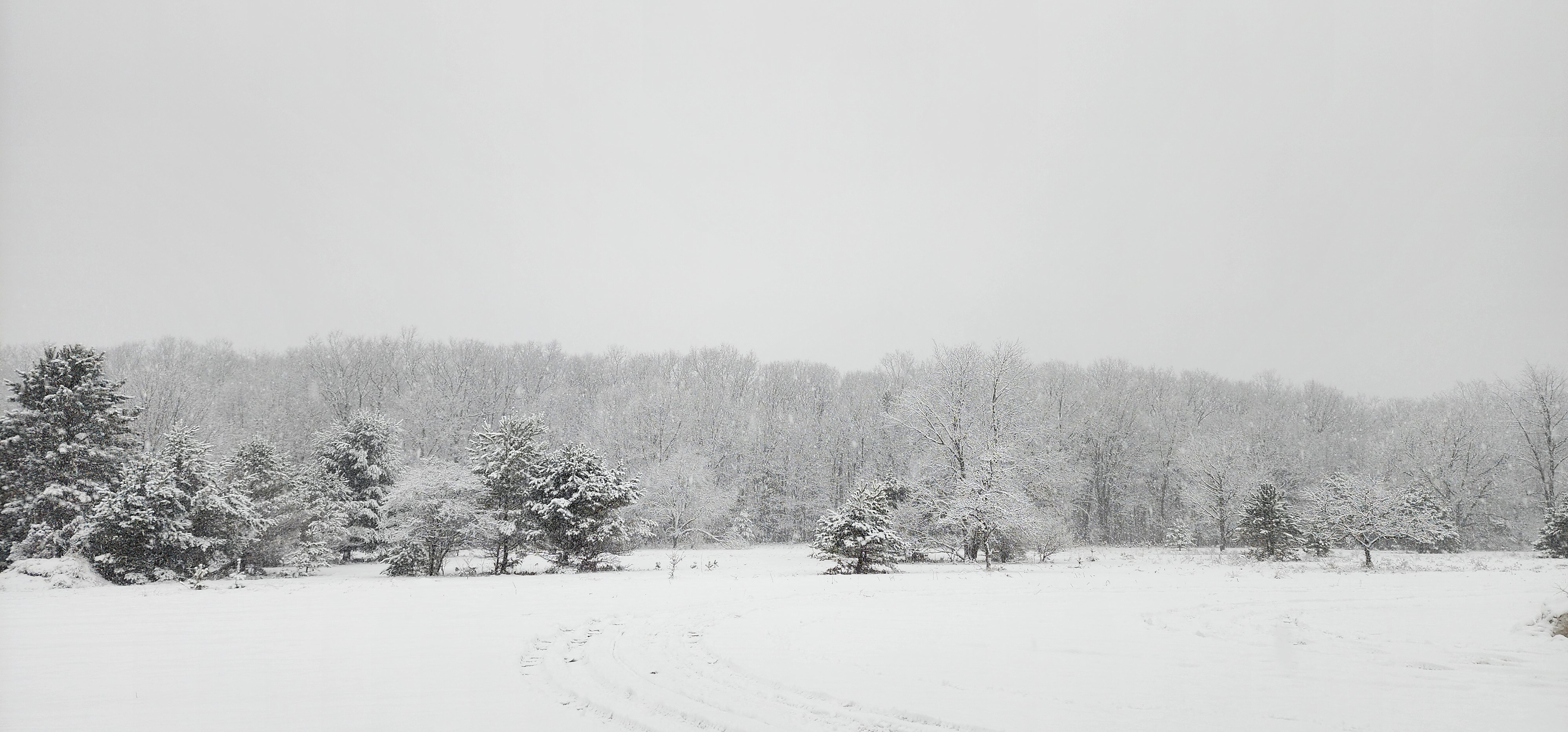 The Landing Of Wellston