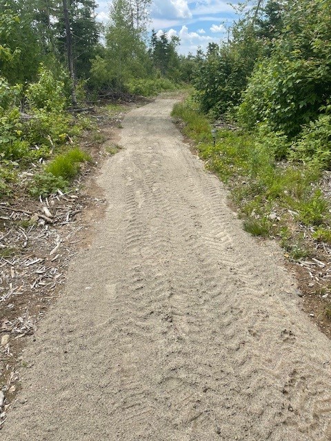 Trail to the back field at the end of the driveway of Camp Site 2.