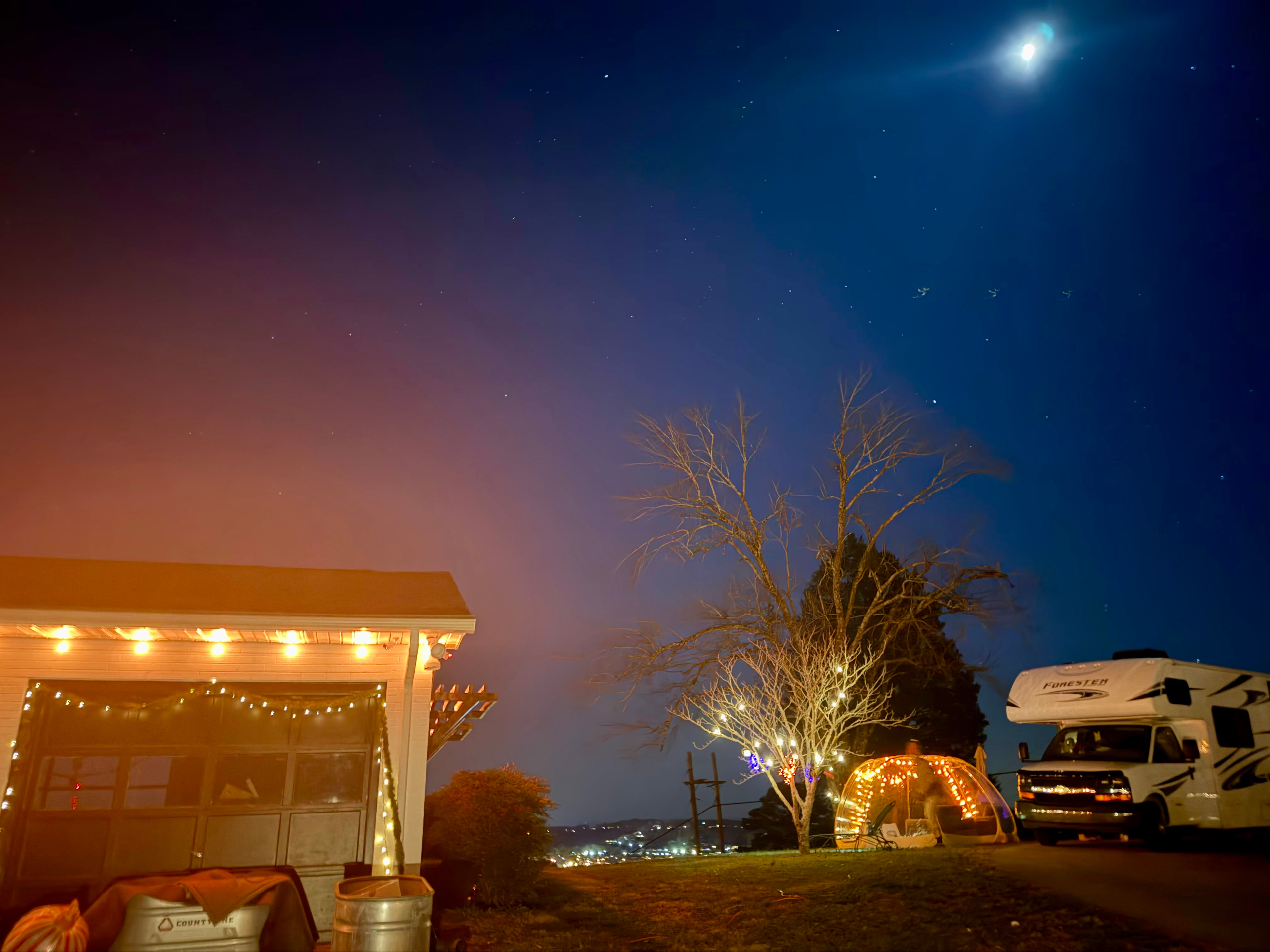 Where It All Grows Down