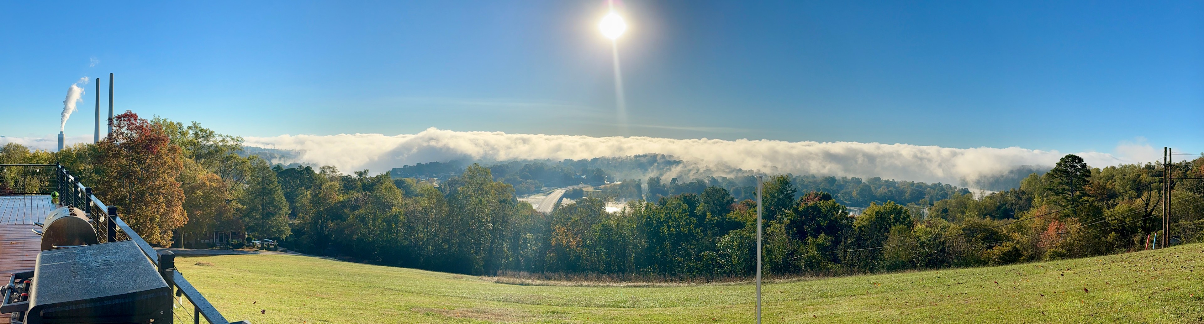 Where It All Grows Down