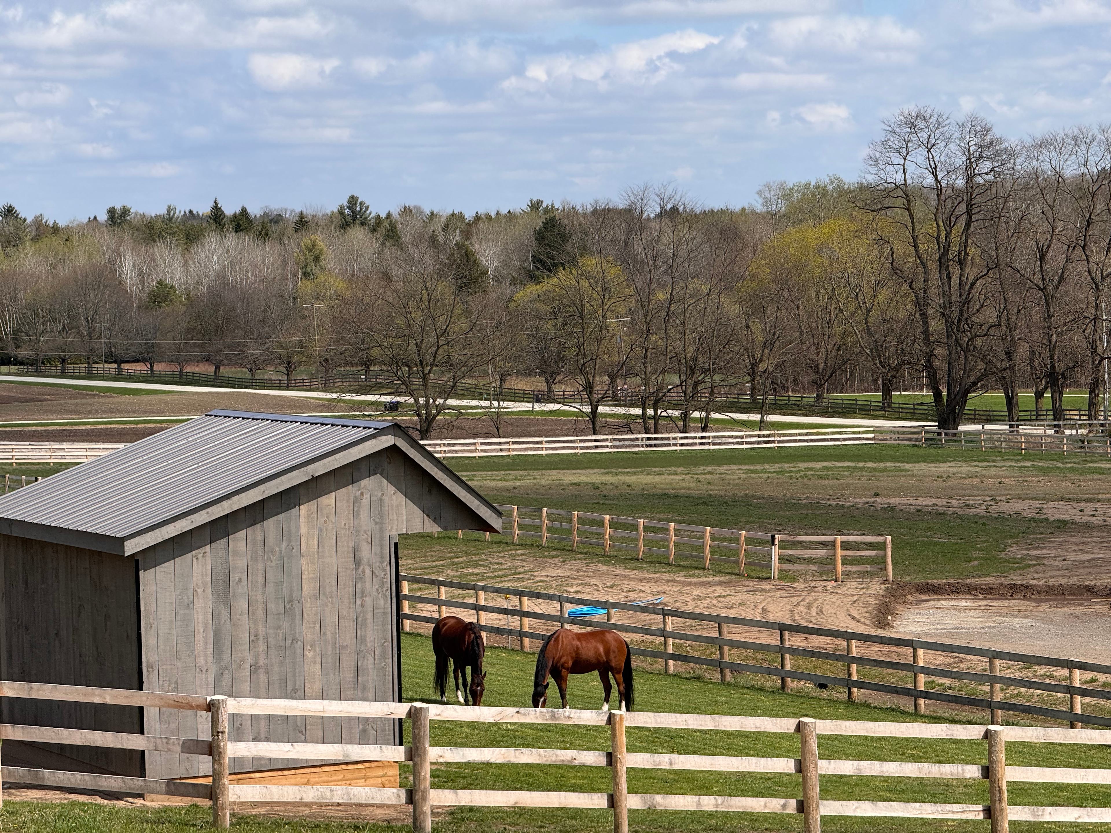 Ben Howe Carriage Driving