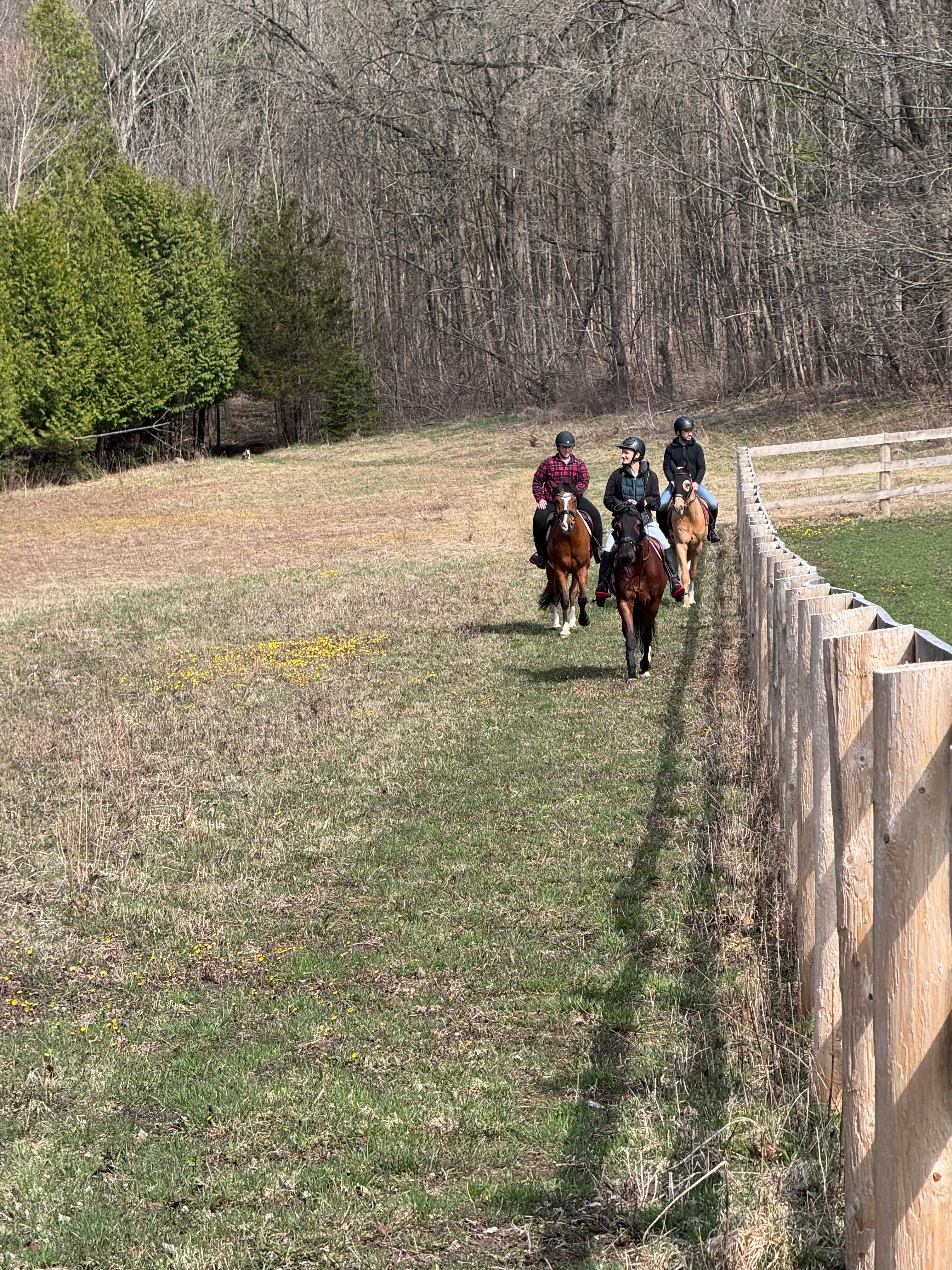 Ben Howe Carriage Driving