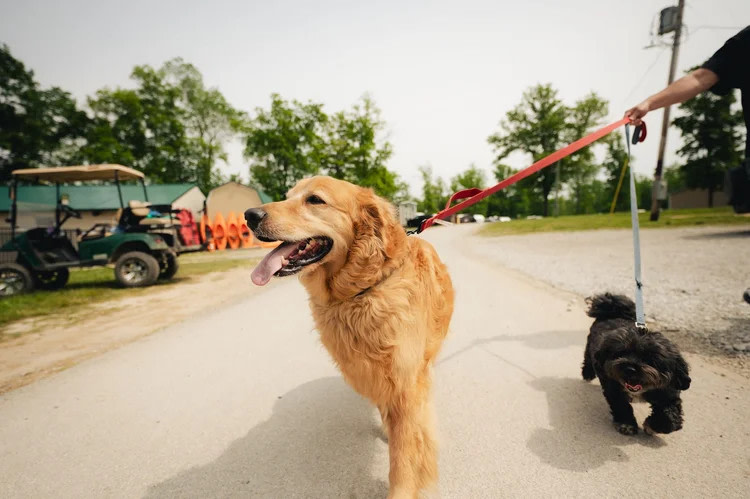 Twin Lakes Camping Resort