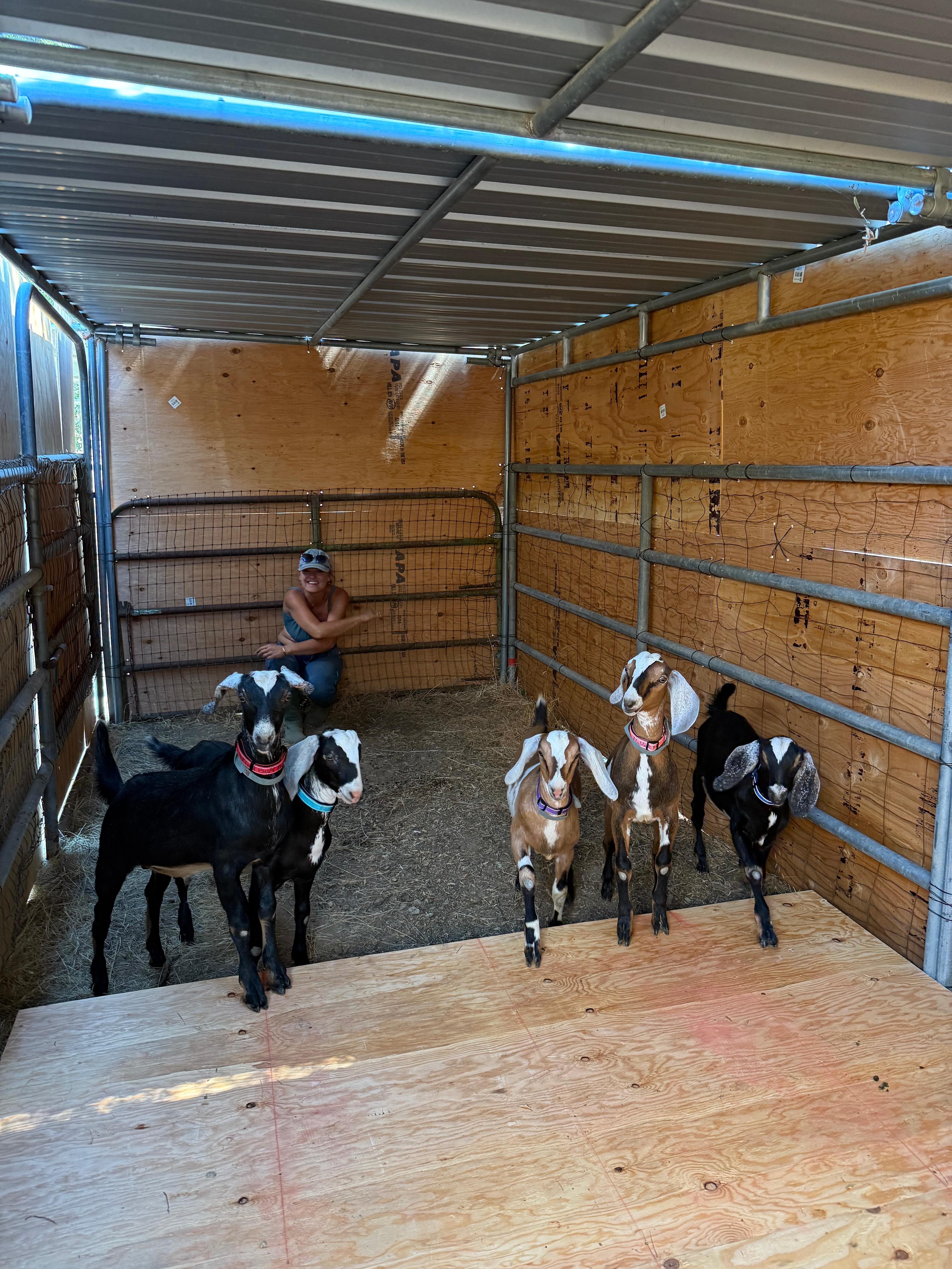 Dust Cloud Ranch – Sycamore Grove C