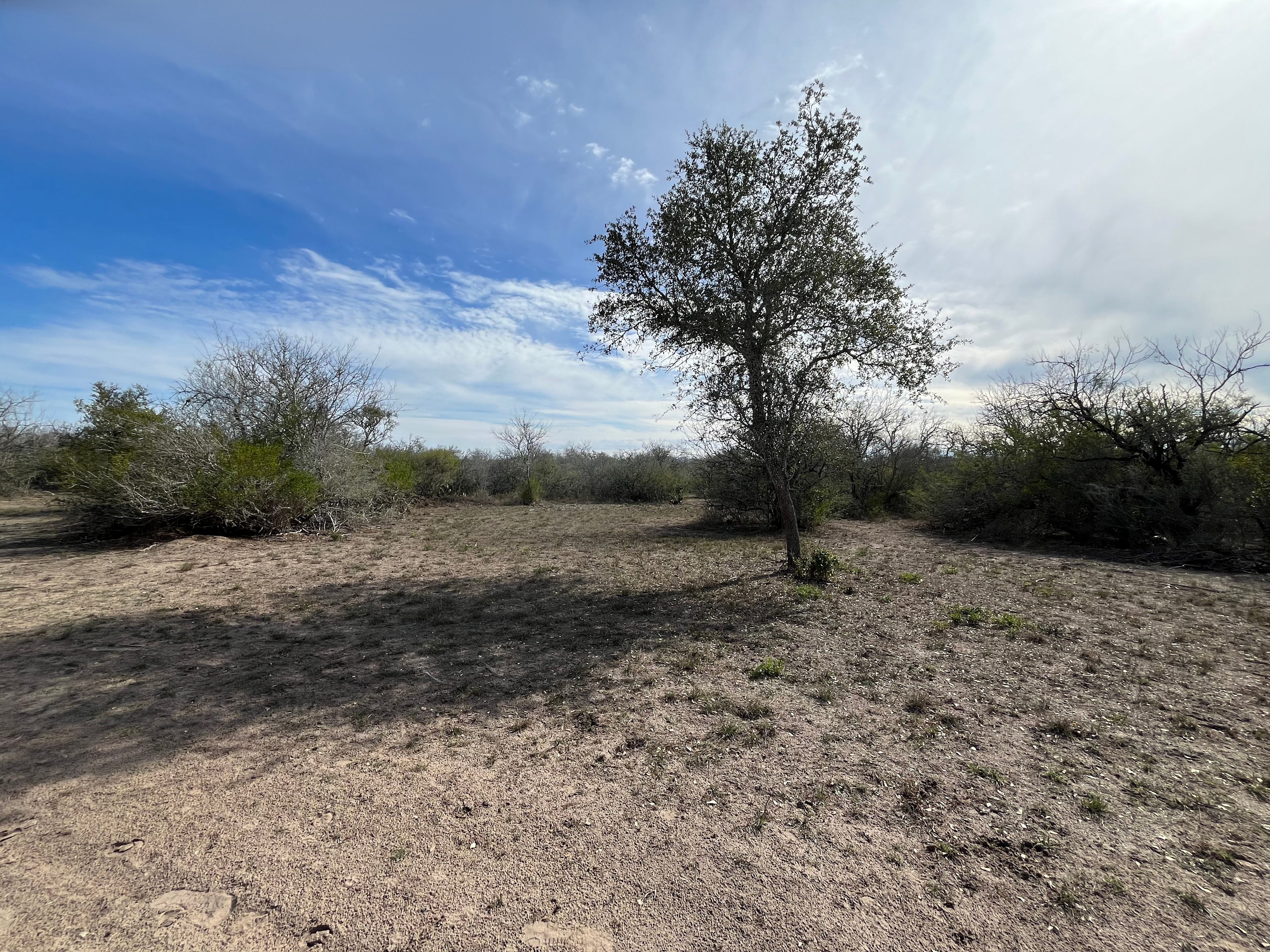 Miss Bee Haven Ranch