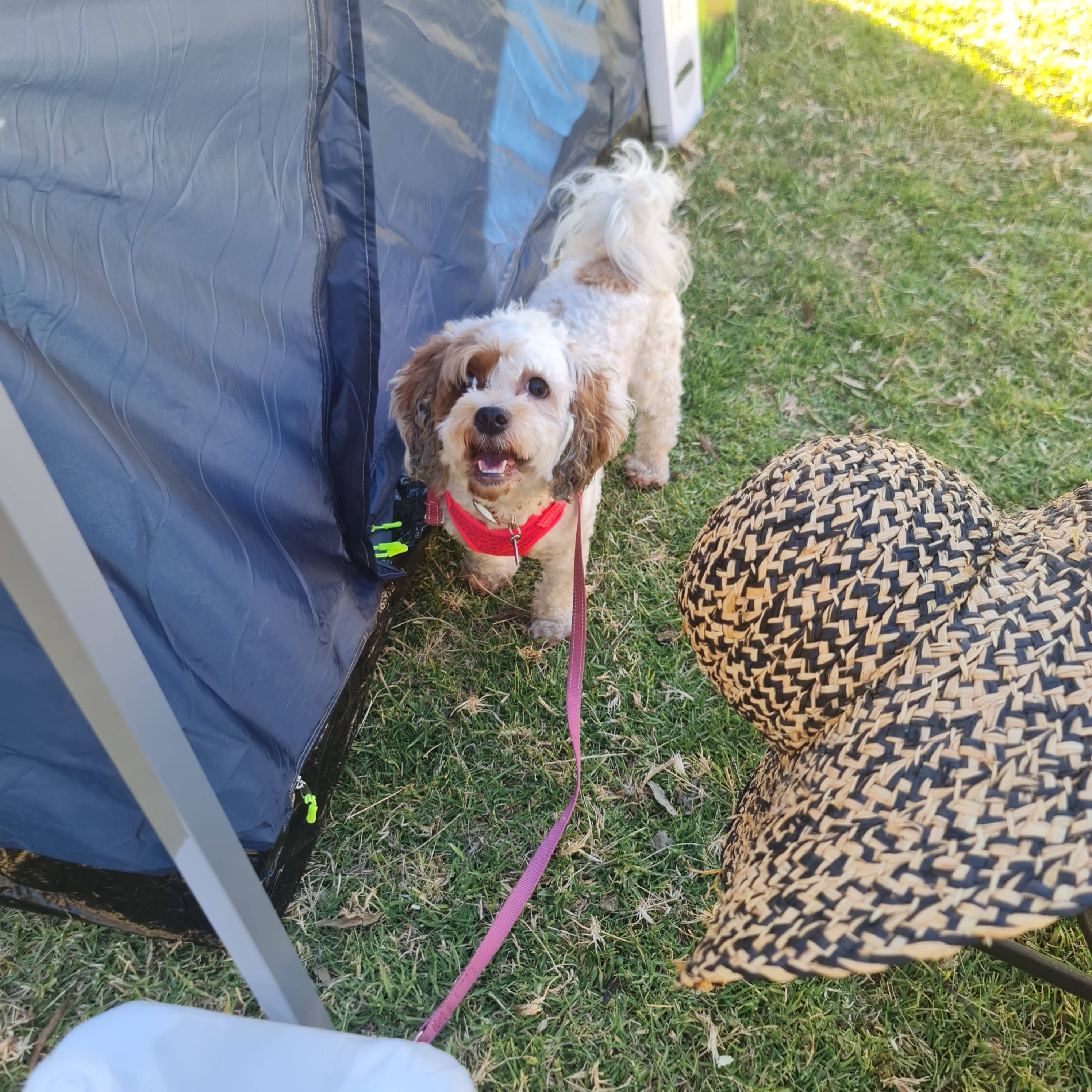 Riverside Camping, Glamping, Cabins