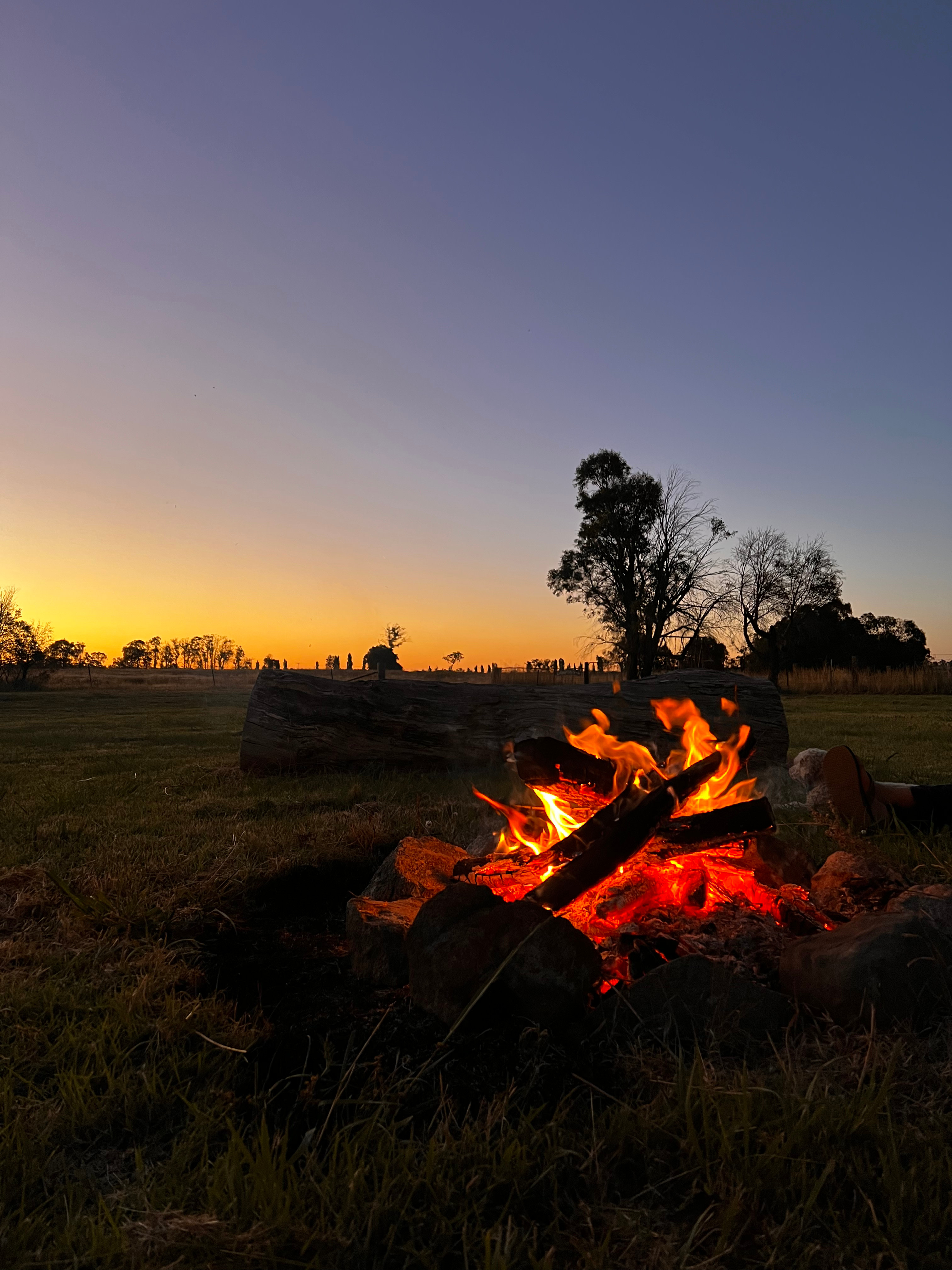 Sunnyside - Banks of Severn River