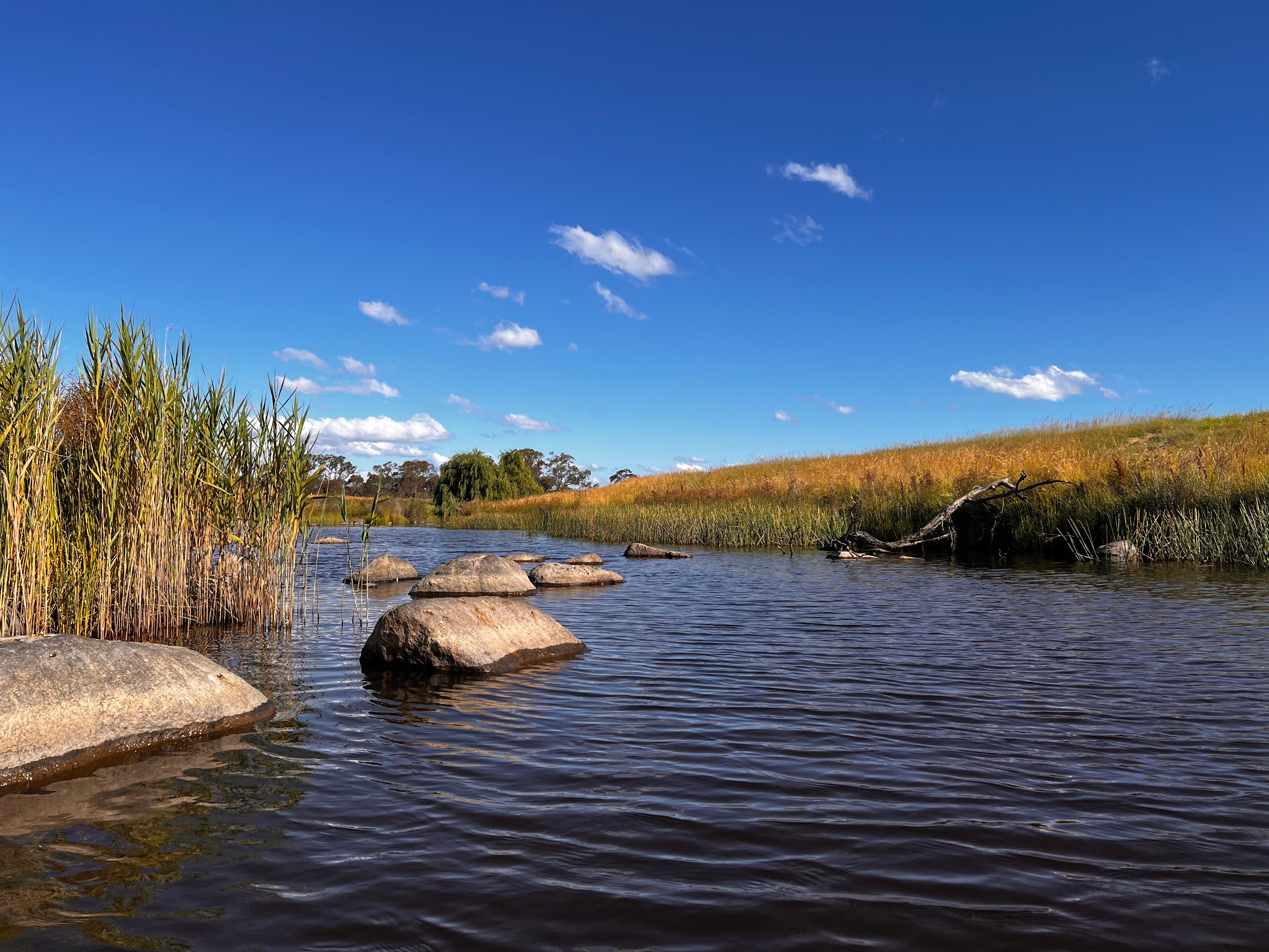 Sunnyside - Banks of Severn River