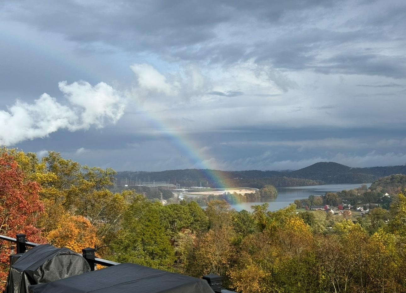 Where It All Grows Down