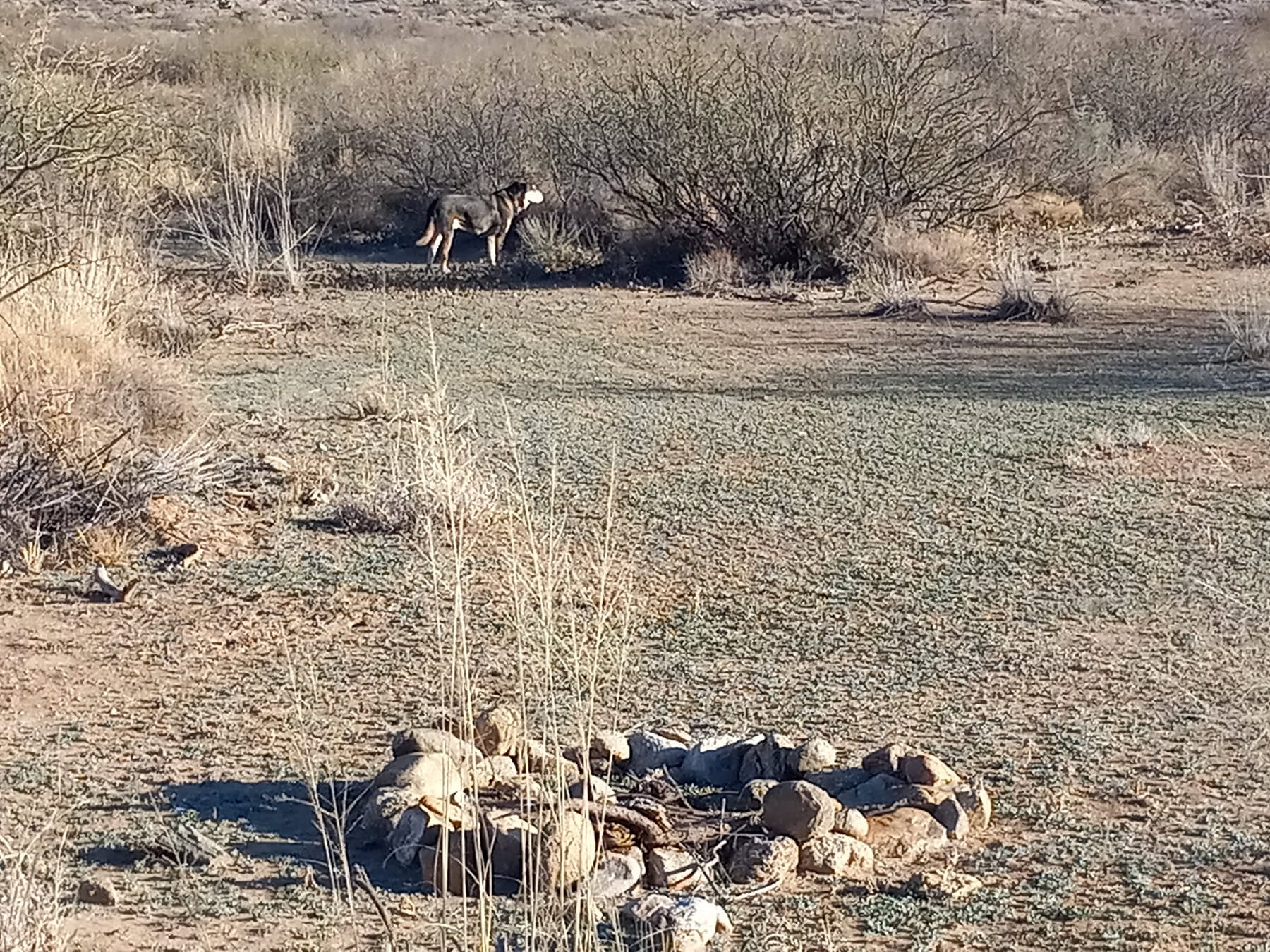 QuitYerBitchin' Ranch