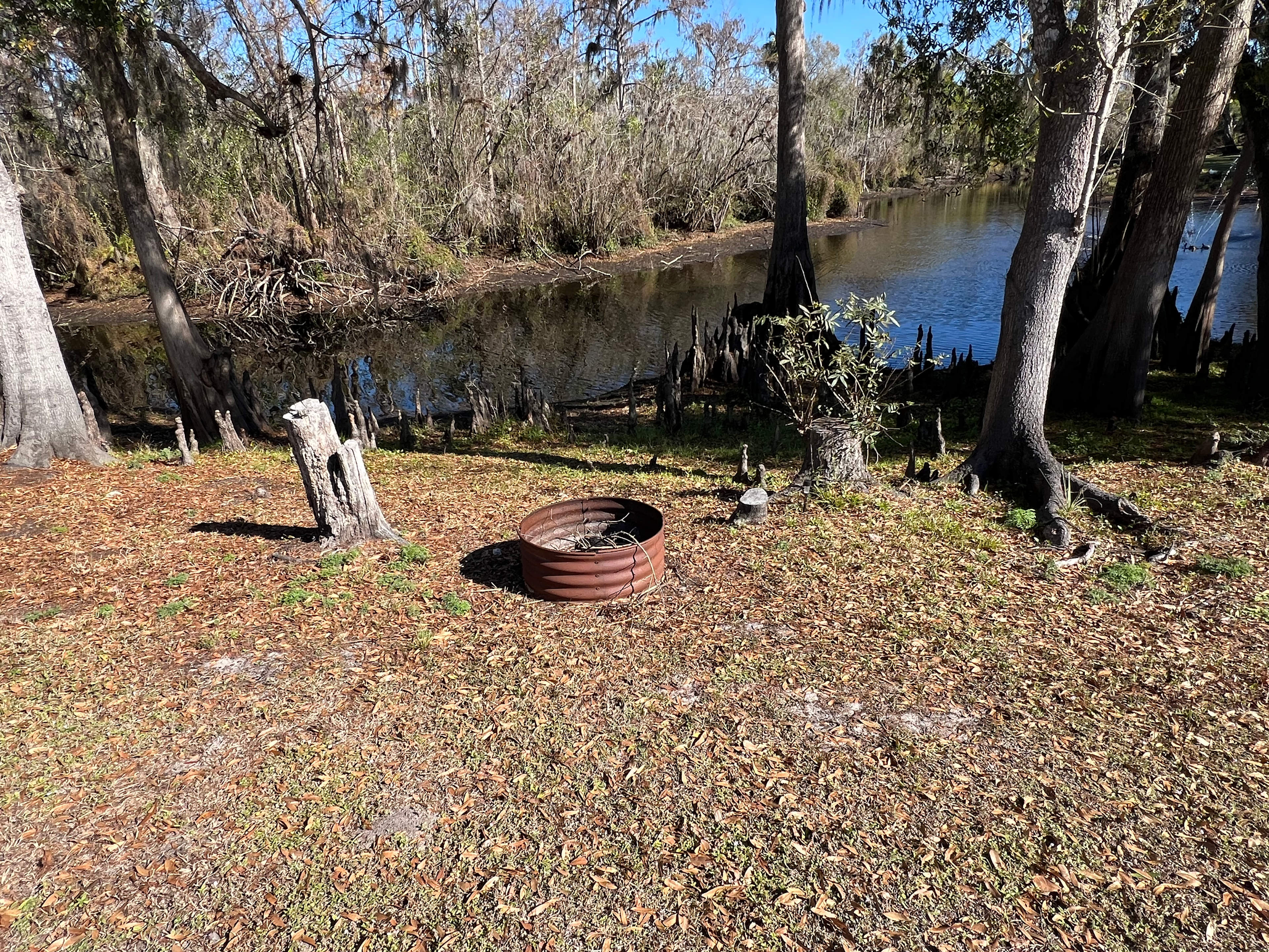 Private fire pit behind the RV site 