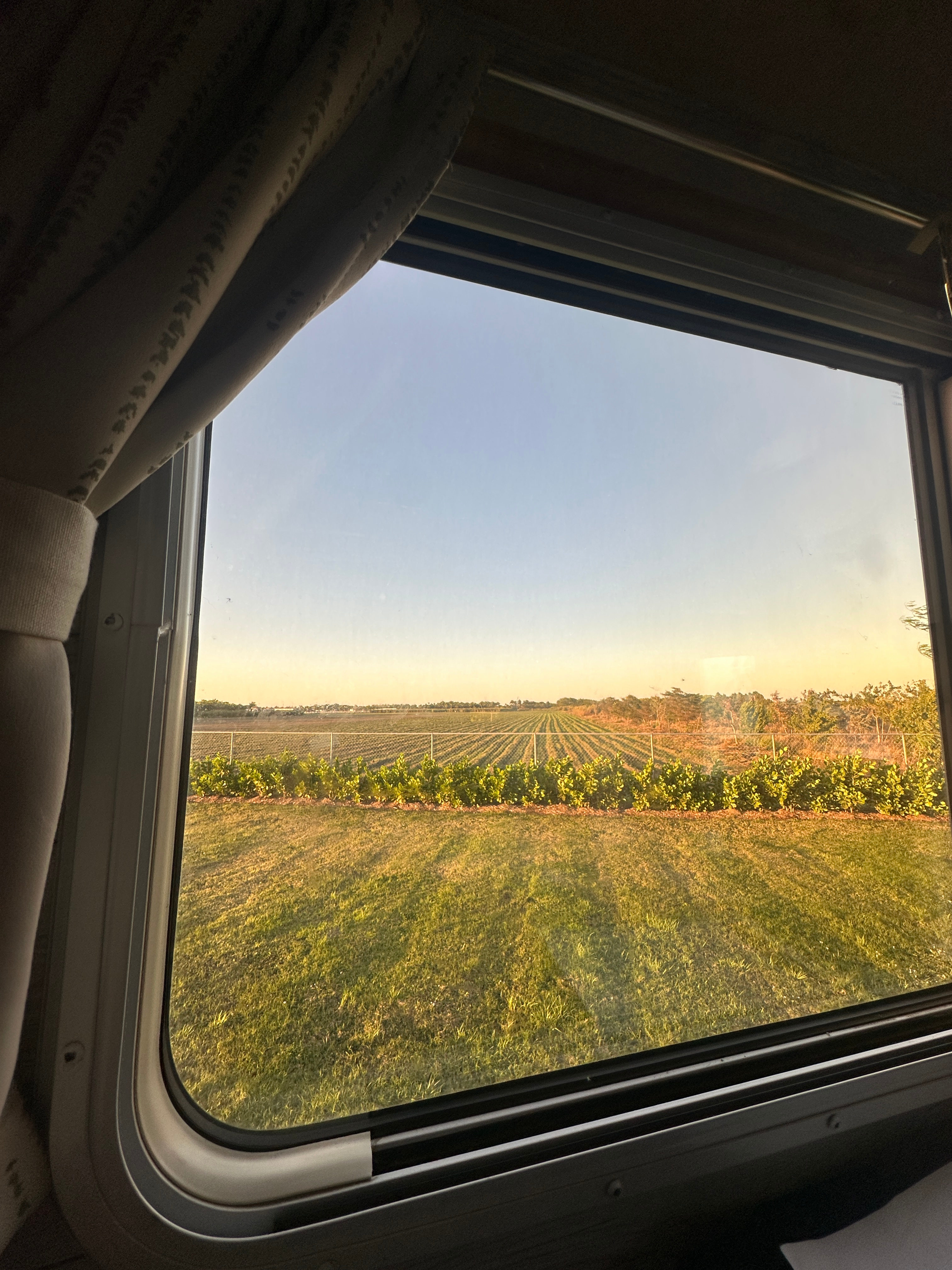 Beautiful view past the fence 