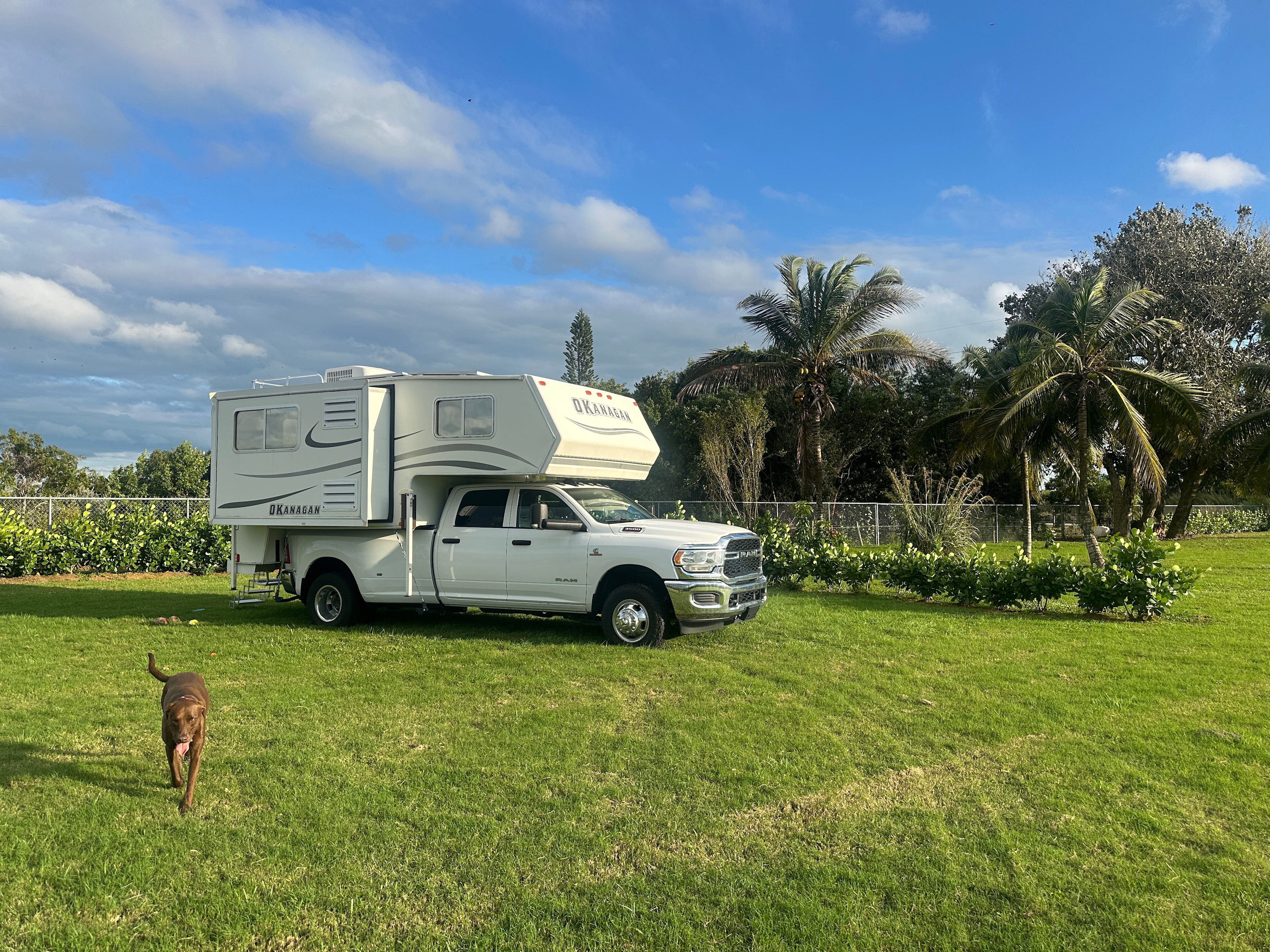 Coconut Palm Drive Camp