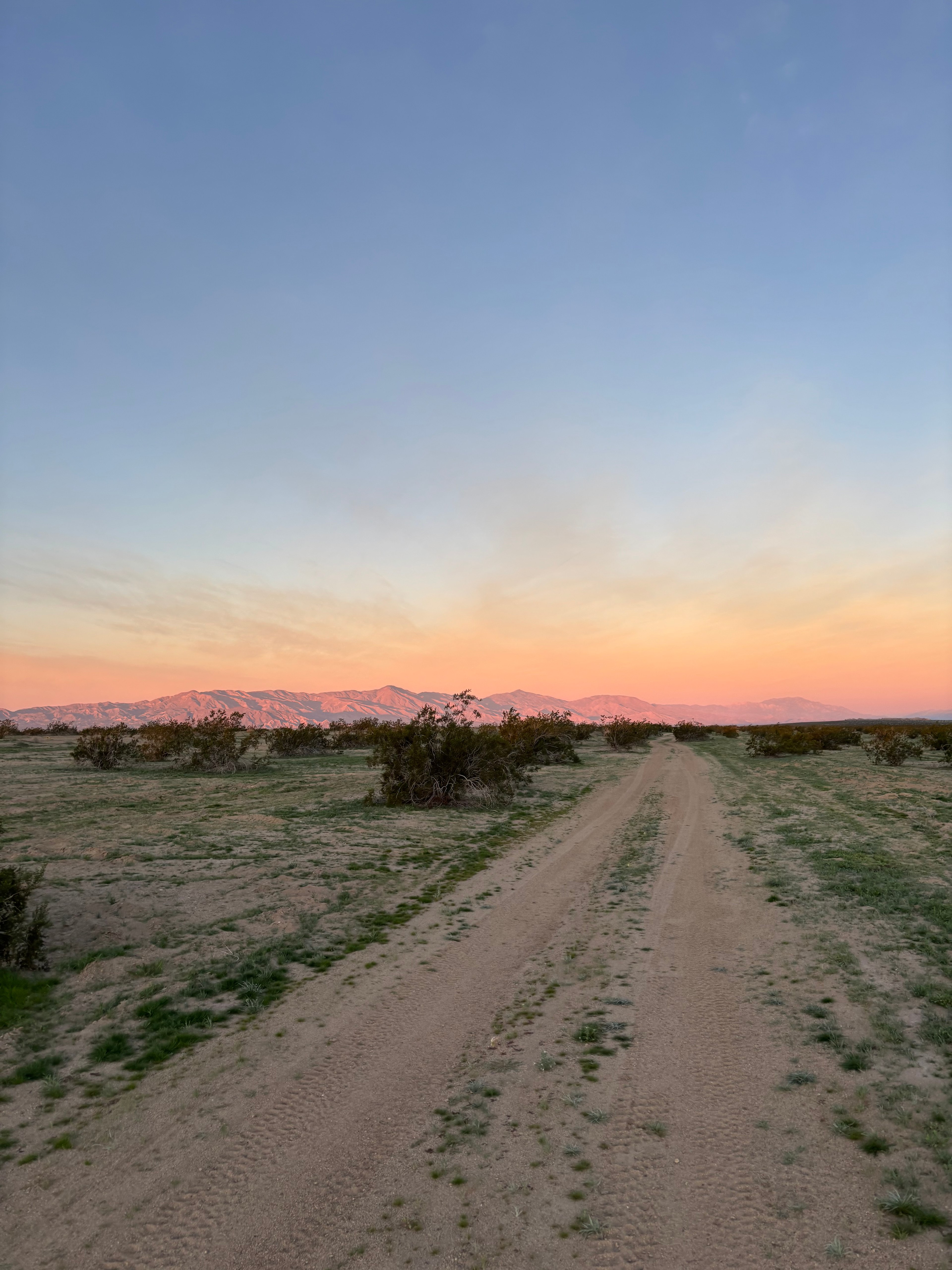 Salton Sea Seclusion