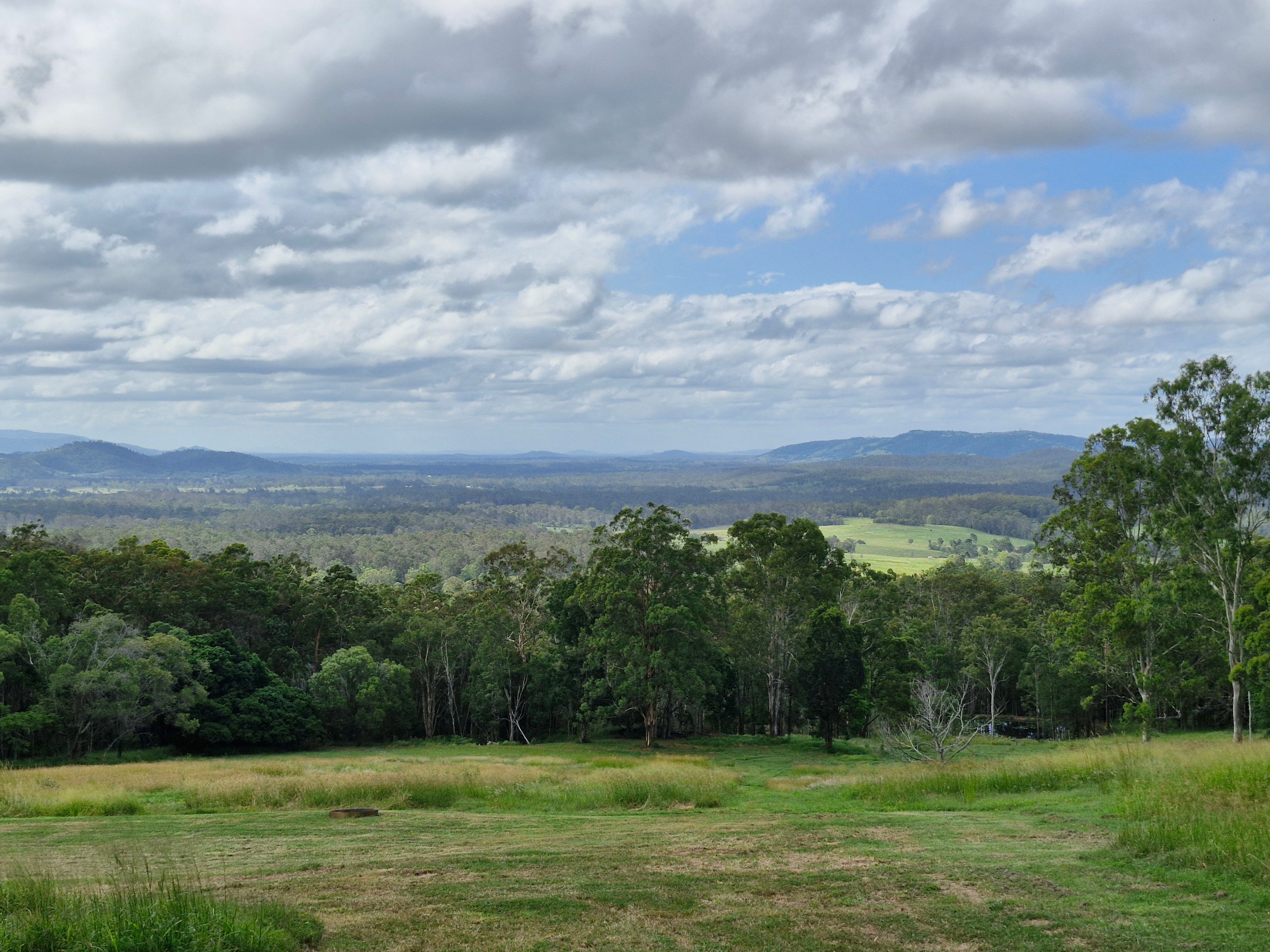 Poinciana Farmstay