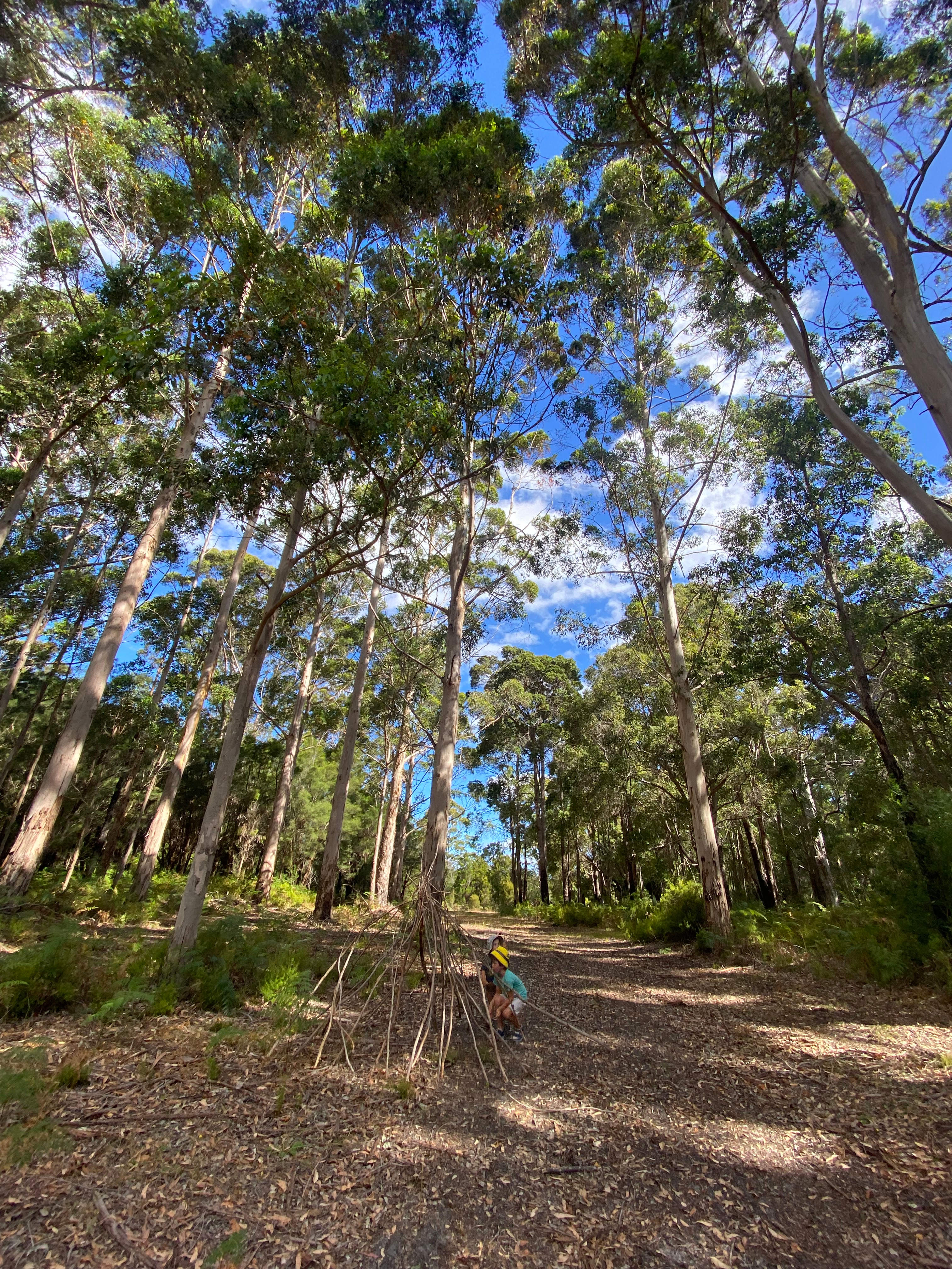 Jarrah Bridge Farm