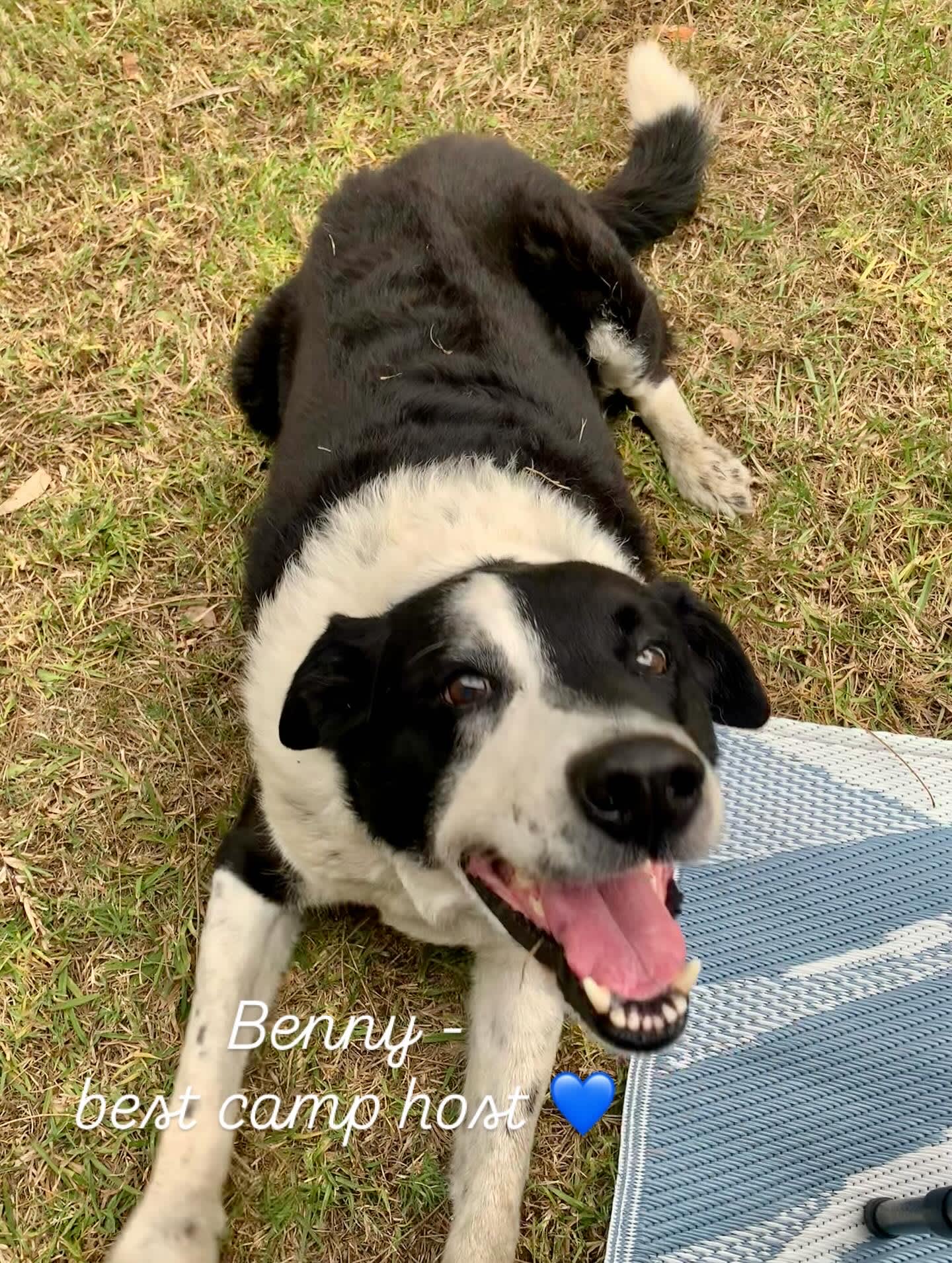 Benny…best host ever 🩵