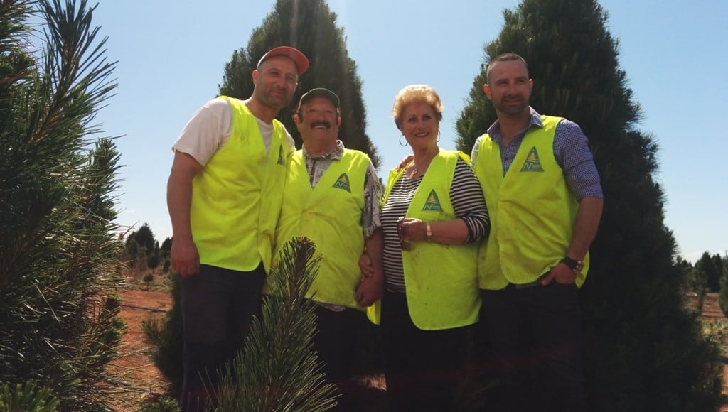 Melbourne Christmas Tree Farm