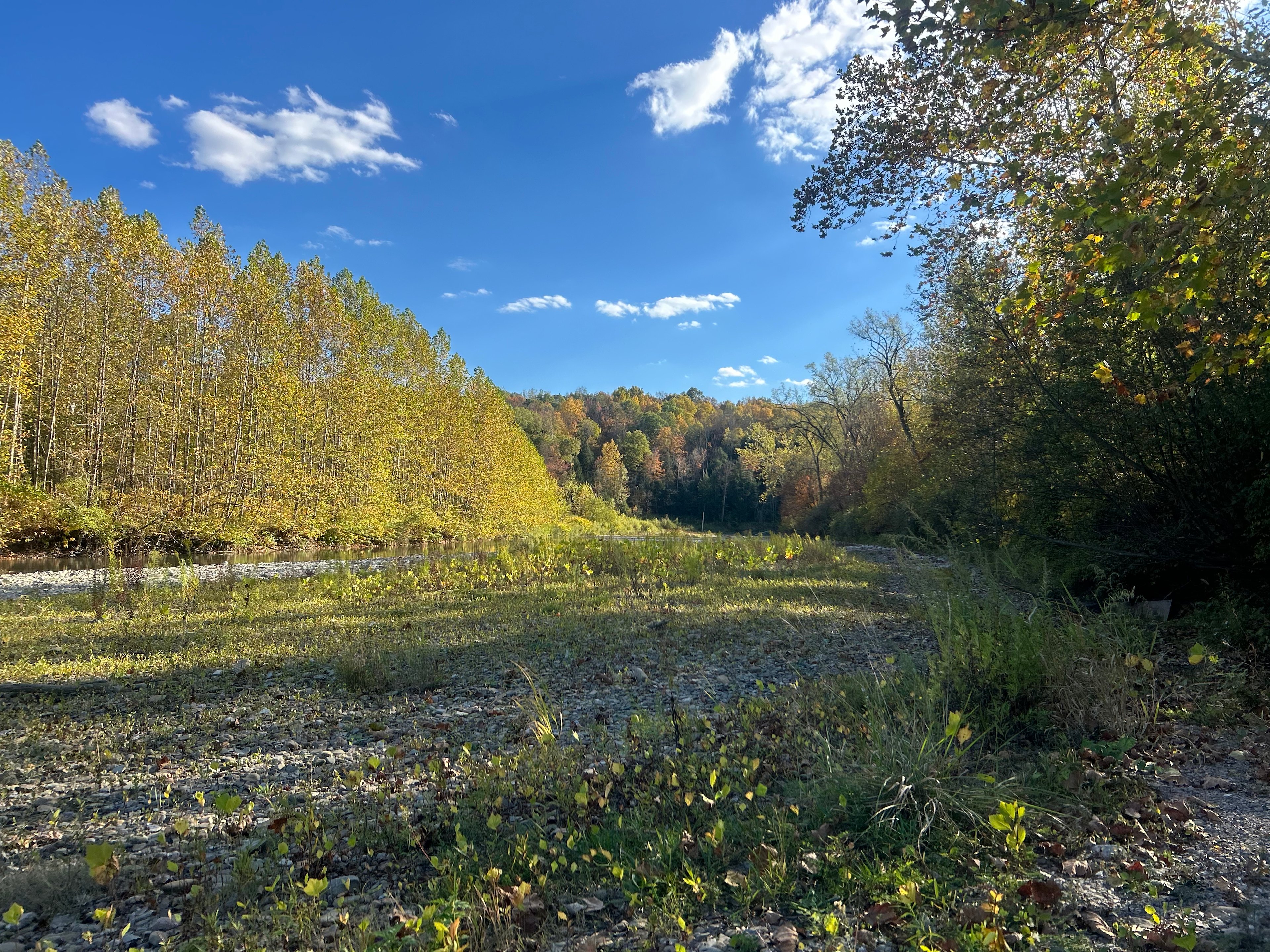 Zoar Valley Creekside Getaway