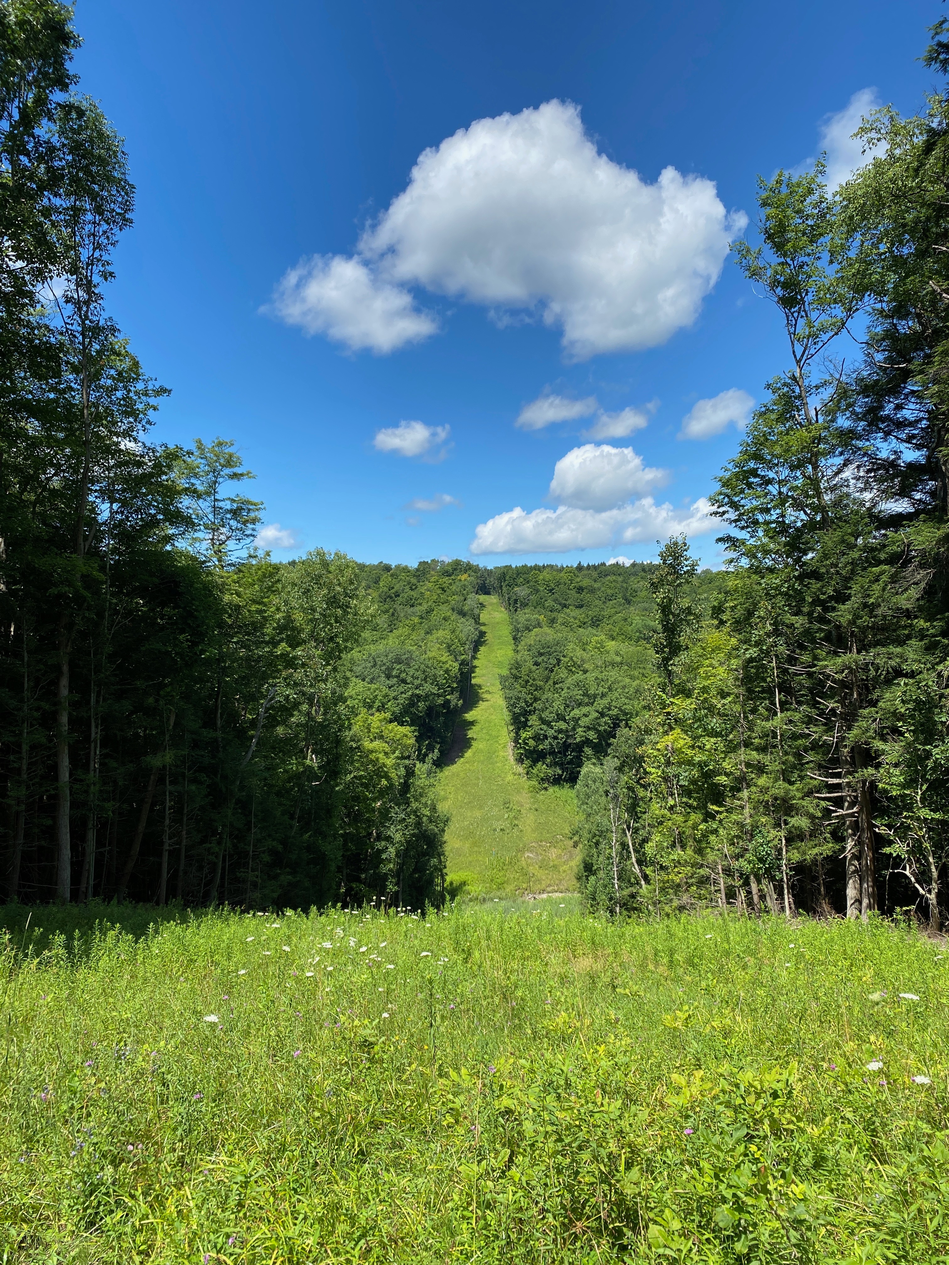 Zoar Valley Creekside Getaway